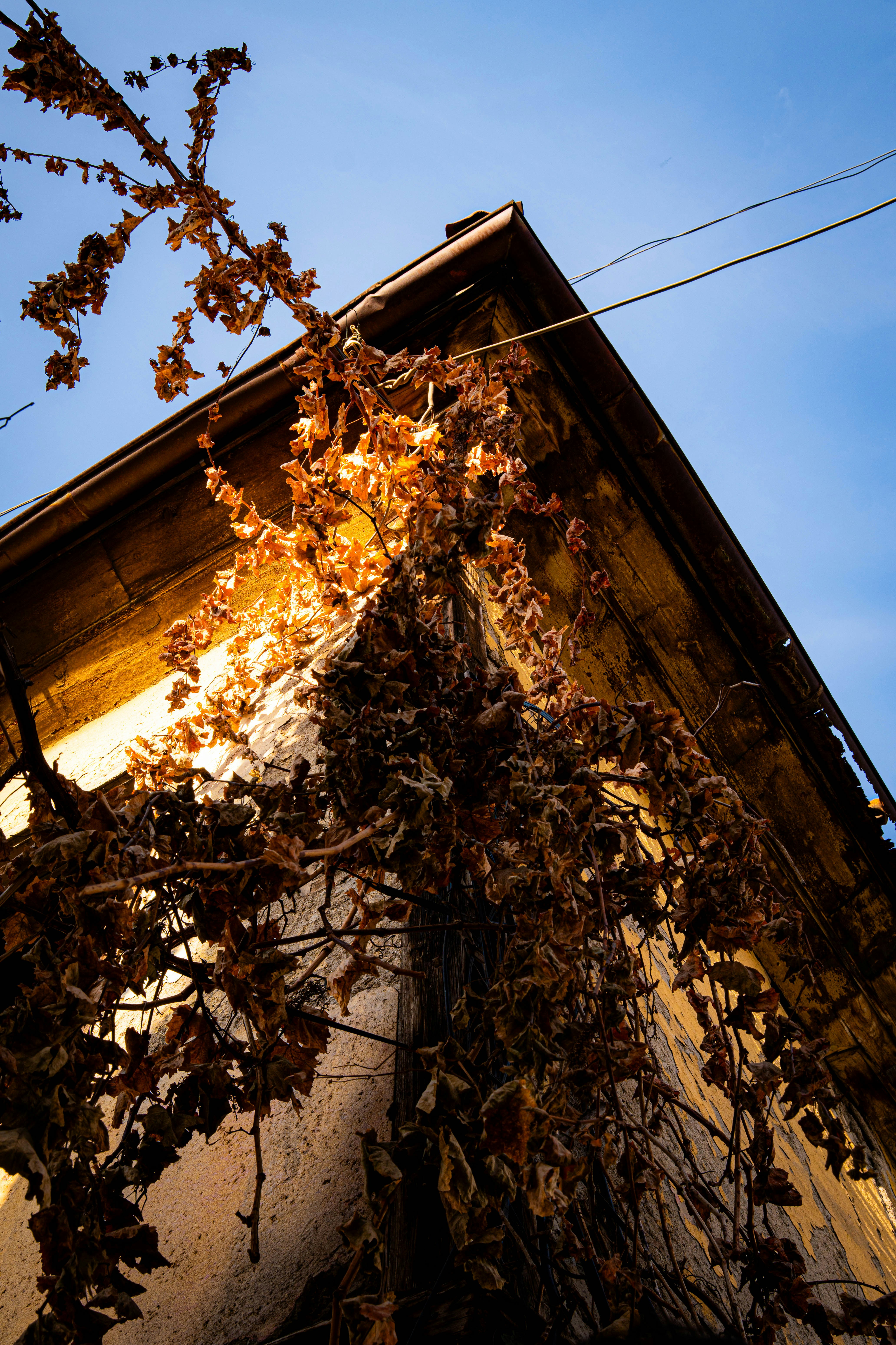 Photo by maviatlas