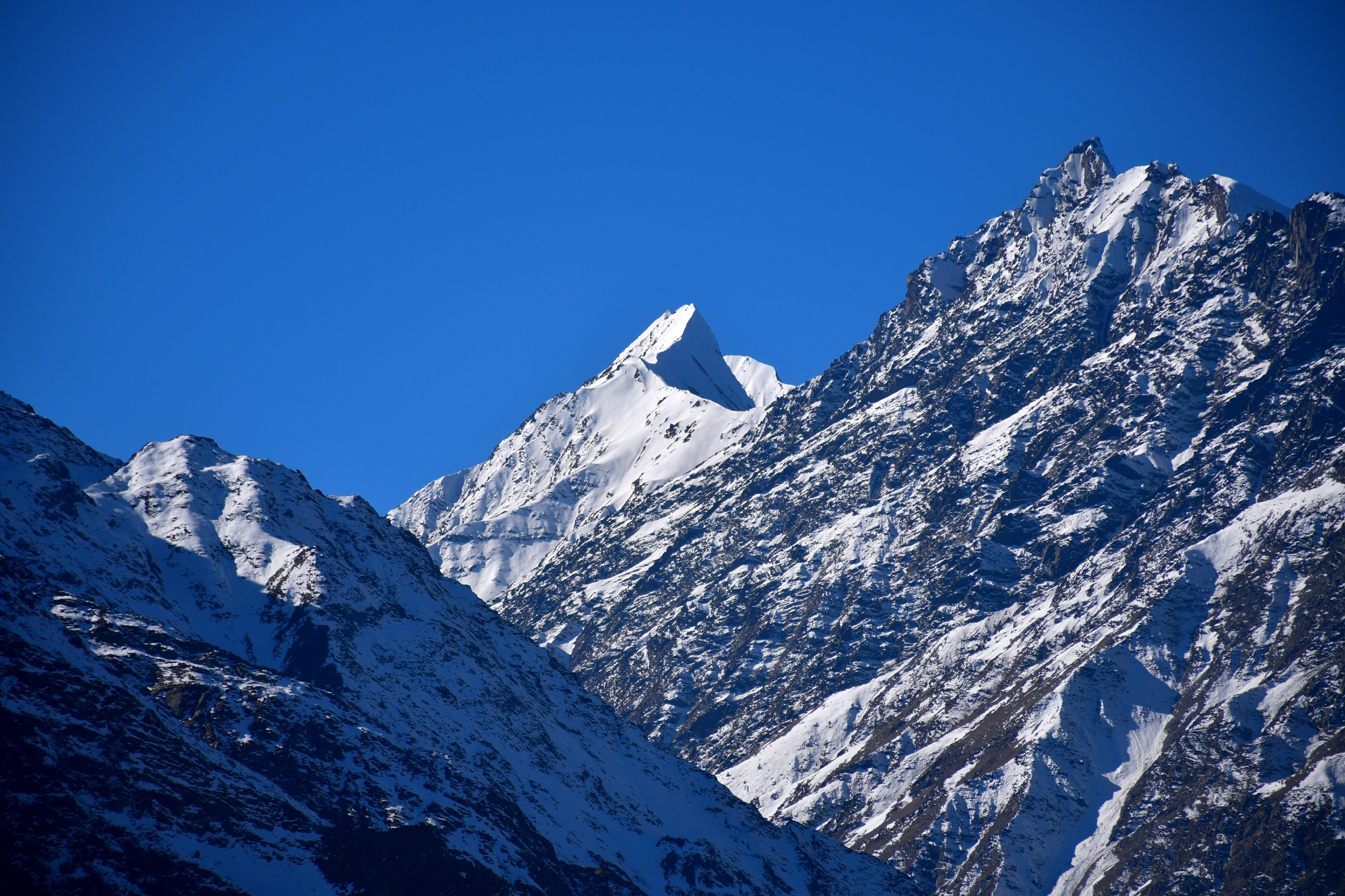 Photo by natureandmylens