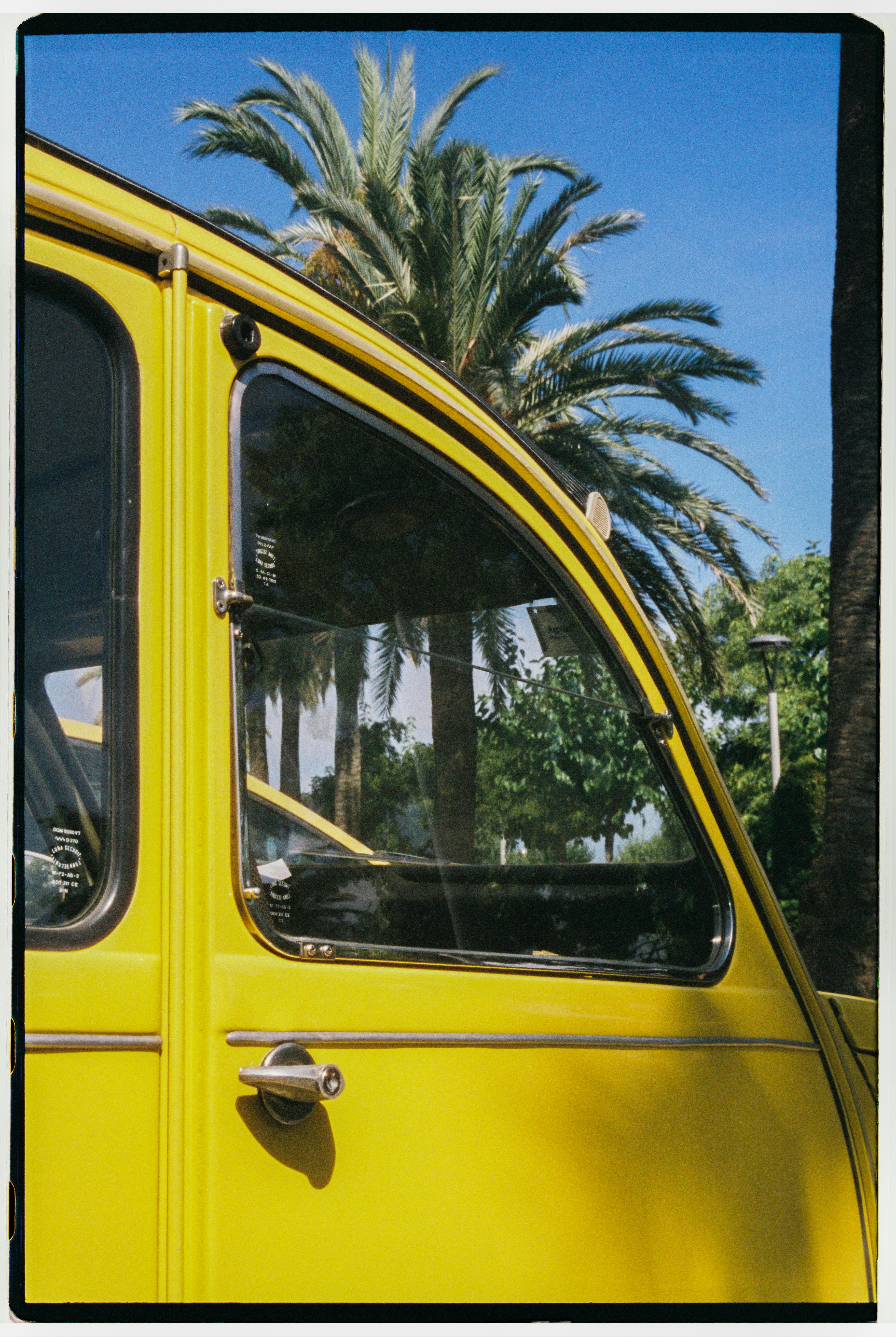 Ein leuchtend gelber Oldtimer mit Palmen.