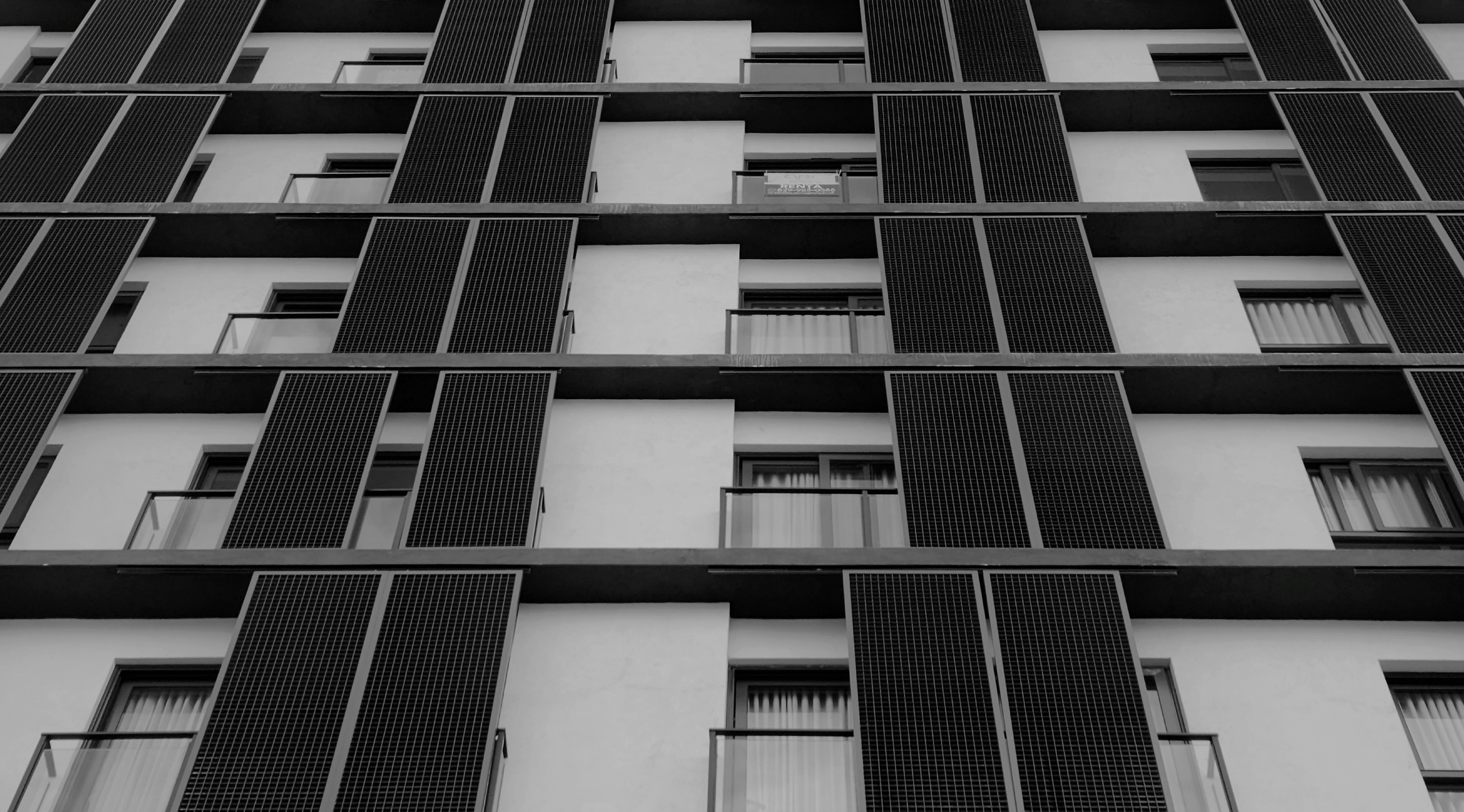 Photo by wegnerbsch04