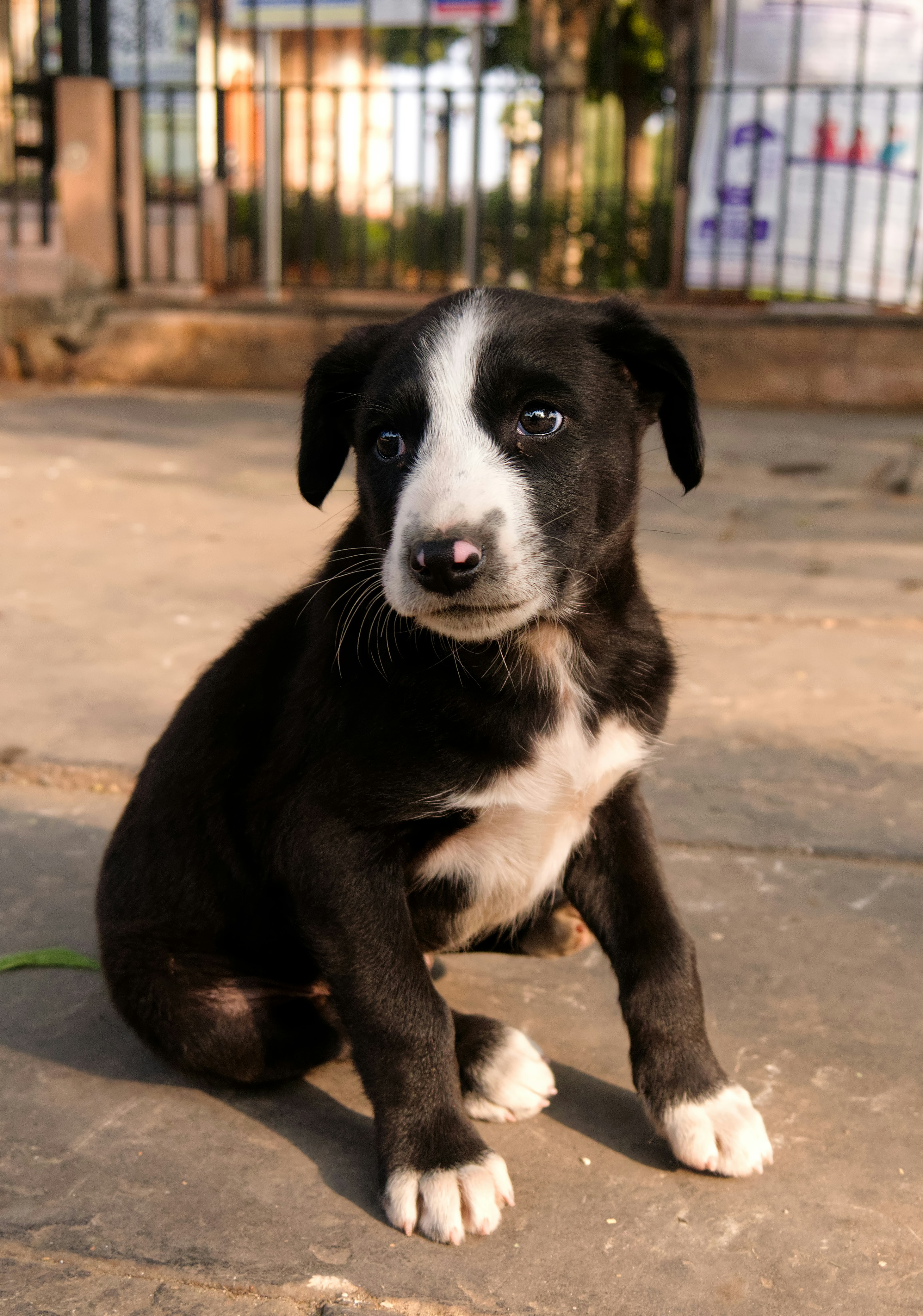 Photo by archaeo_images