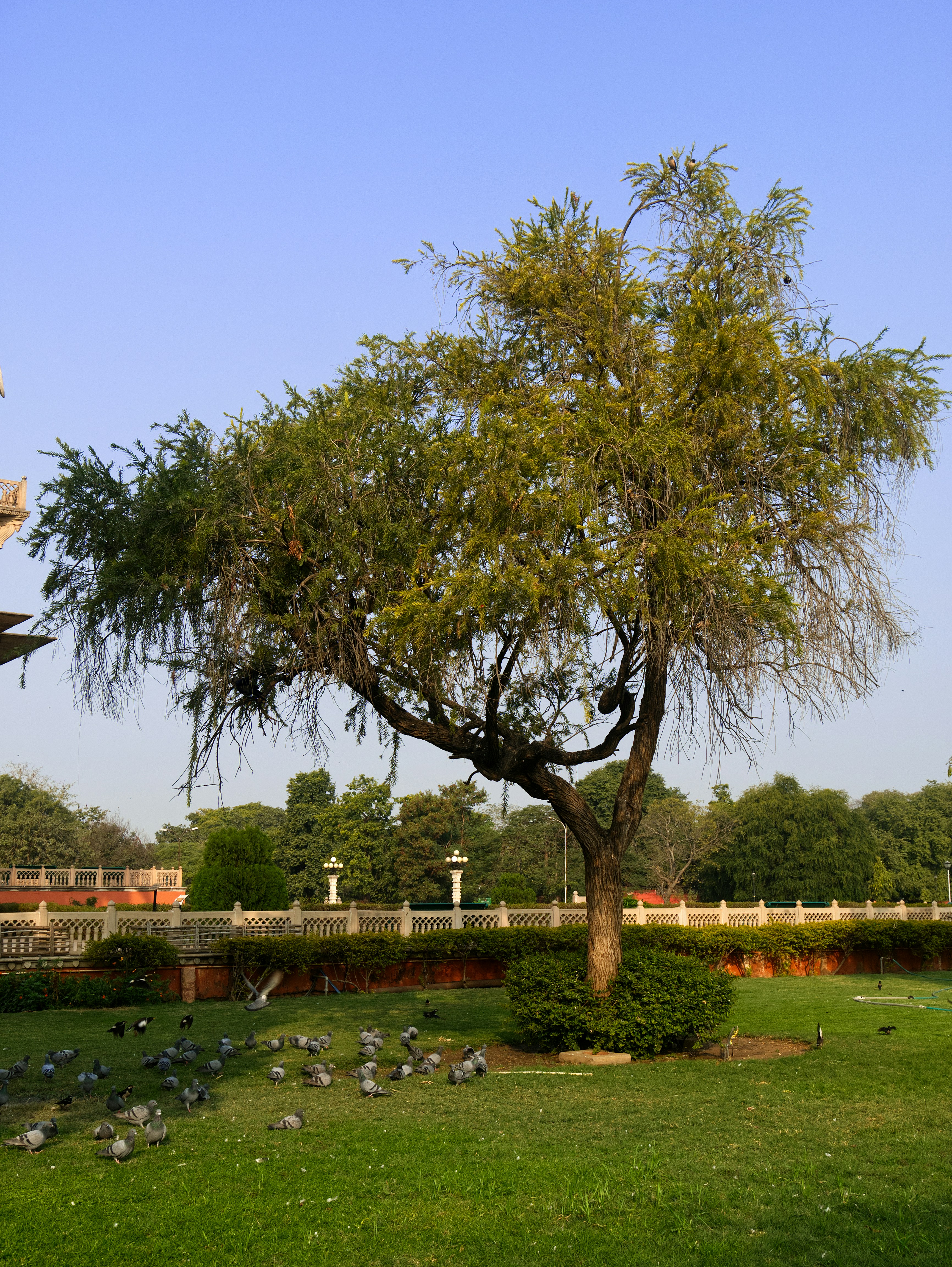 Photo by archaeo_images