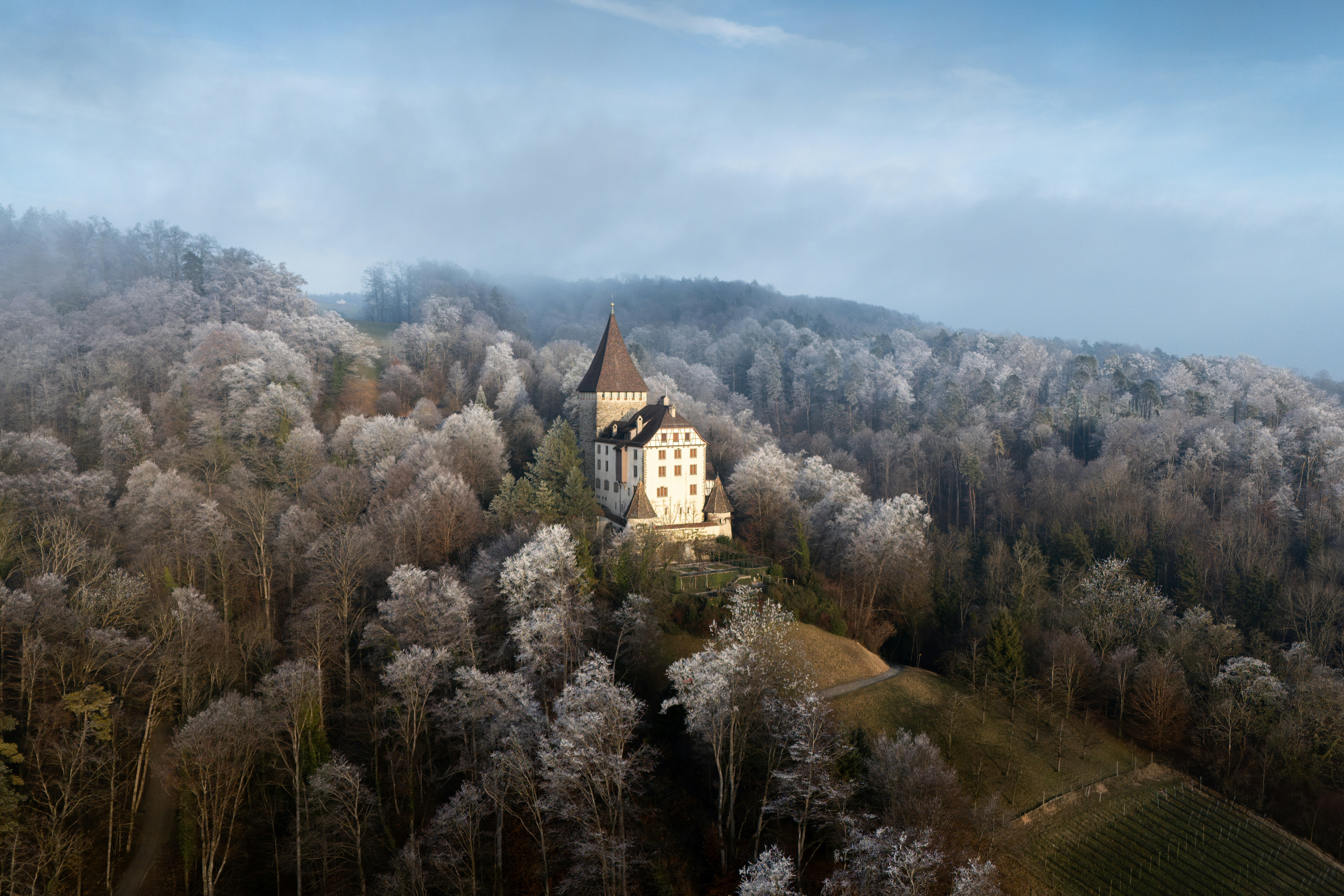 凍った木々に囲まれた丘の上の城