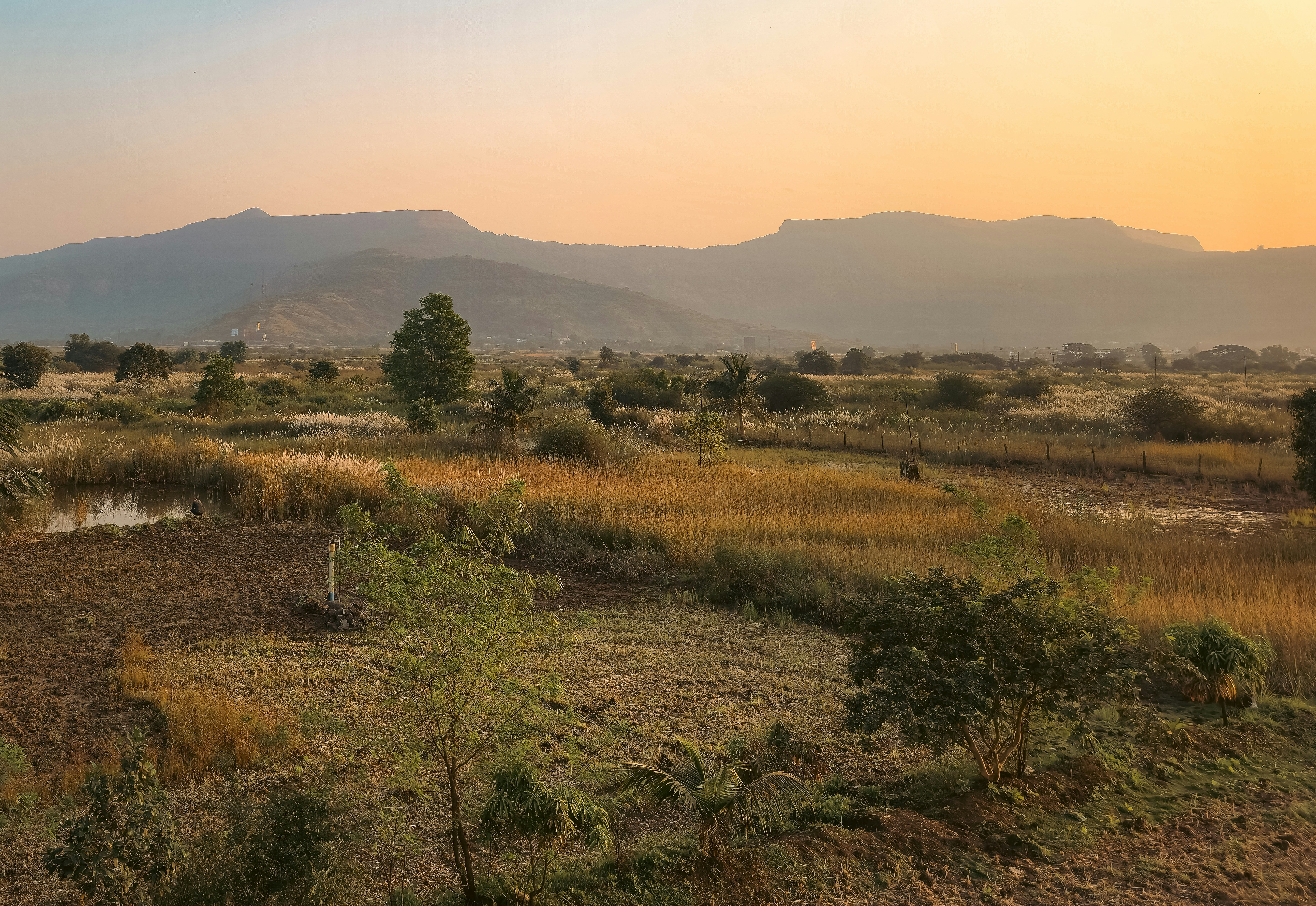 Photo by zoshuacolah