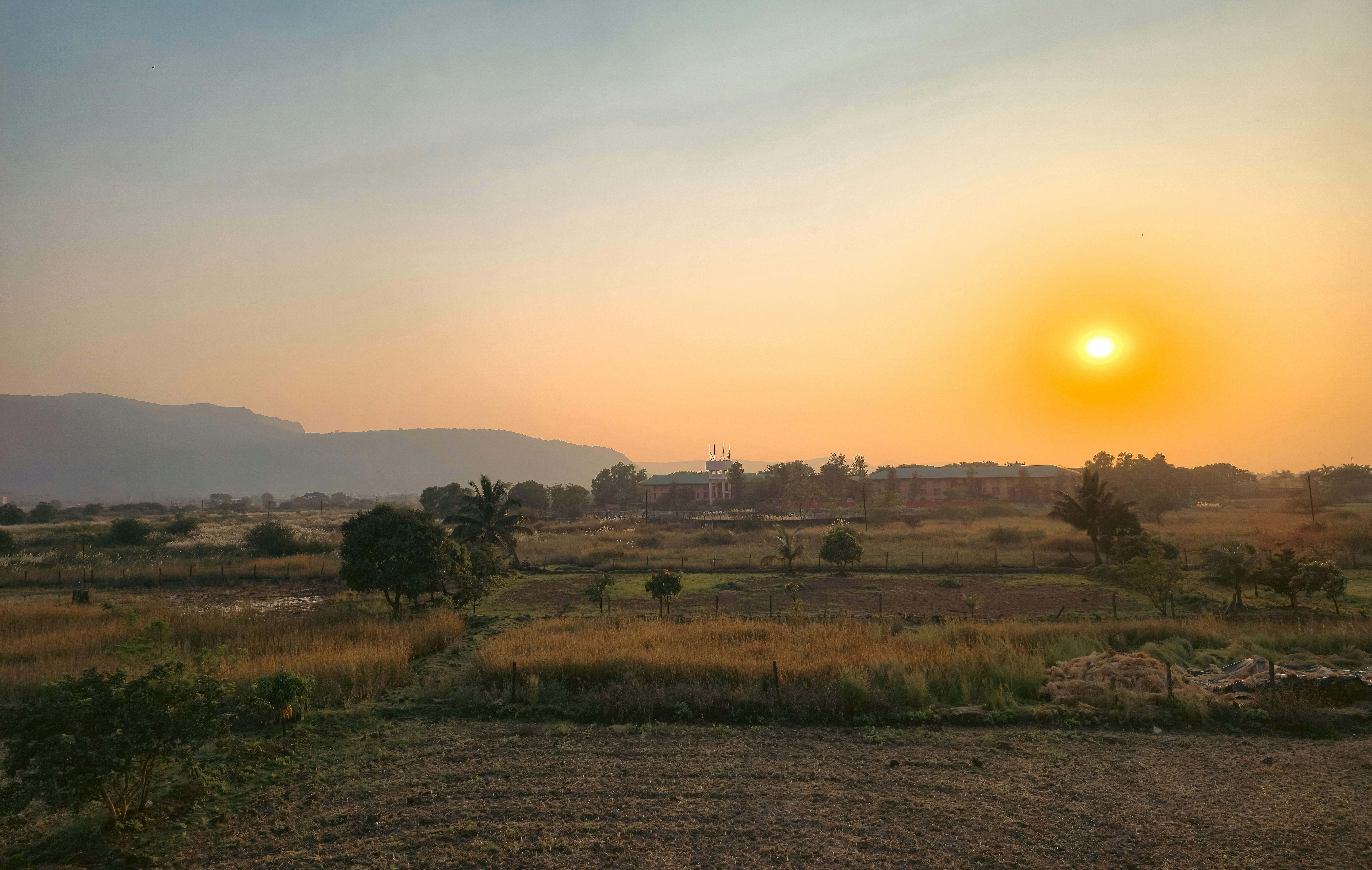 AEMET activa avís groc per temperatures altes a l'interior de València