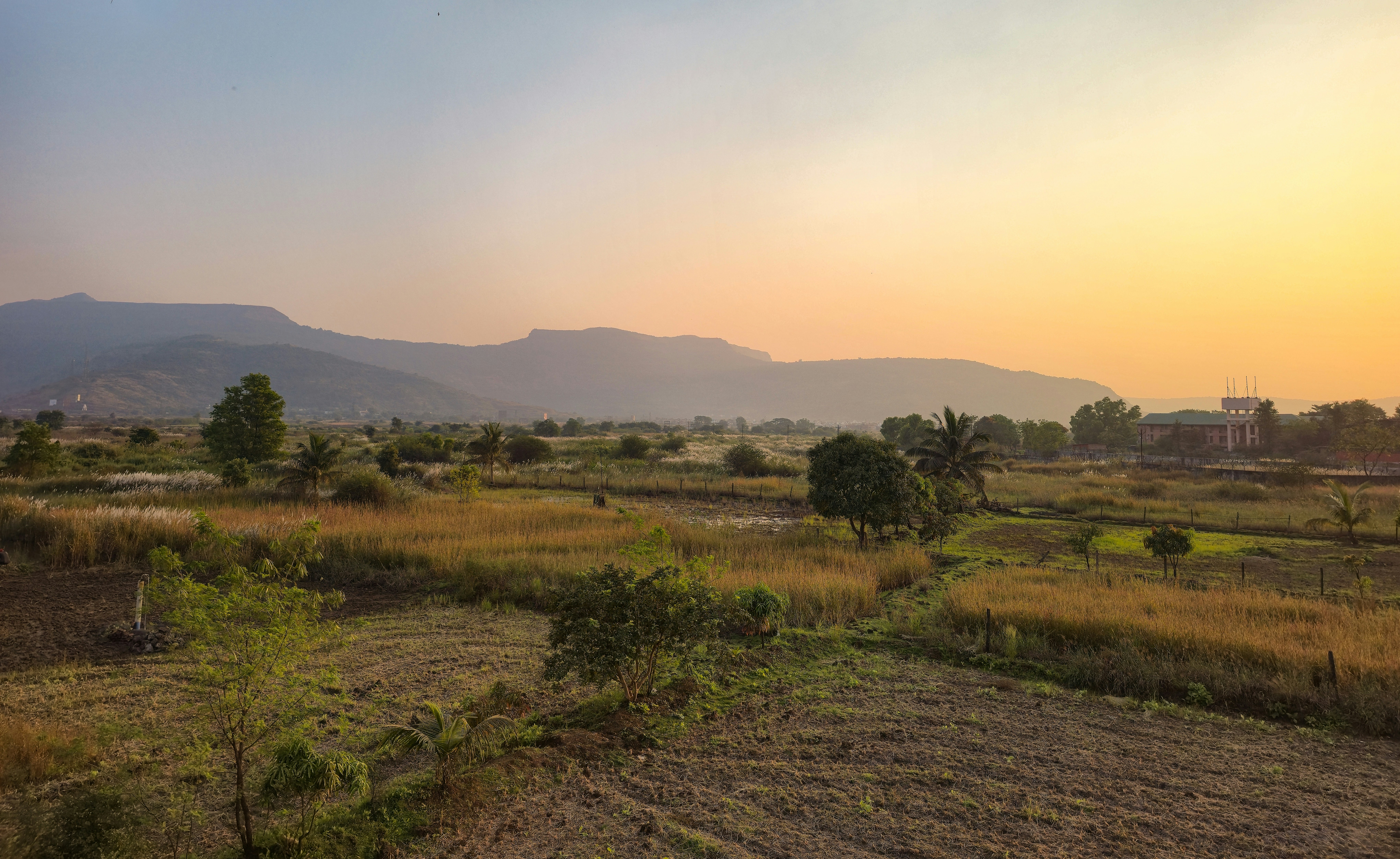 Photo by zoshuacolah