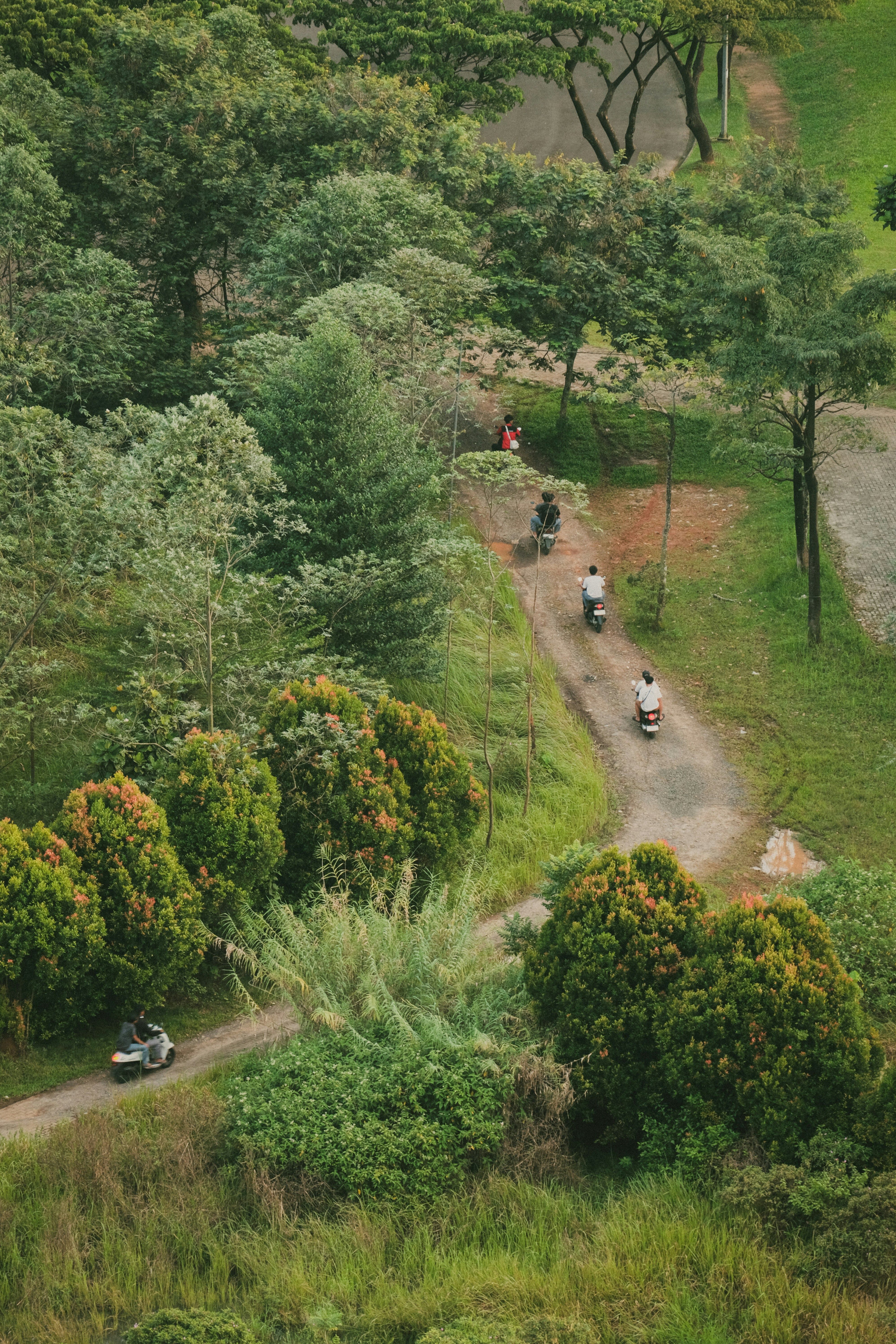 People ride scooters on a dirt path through greenery.