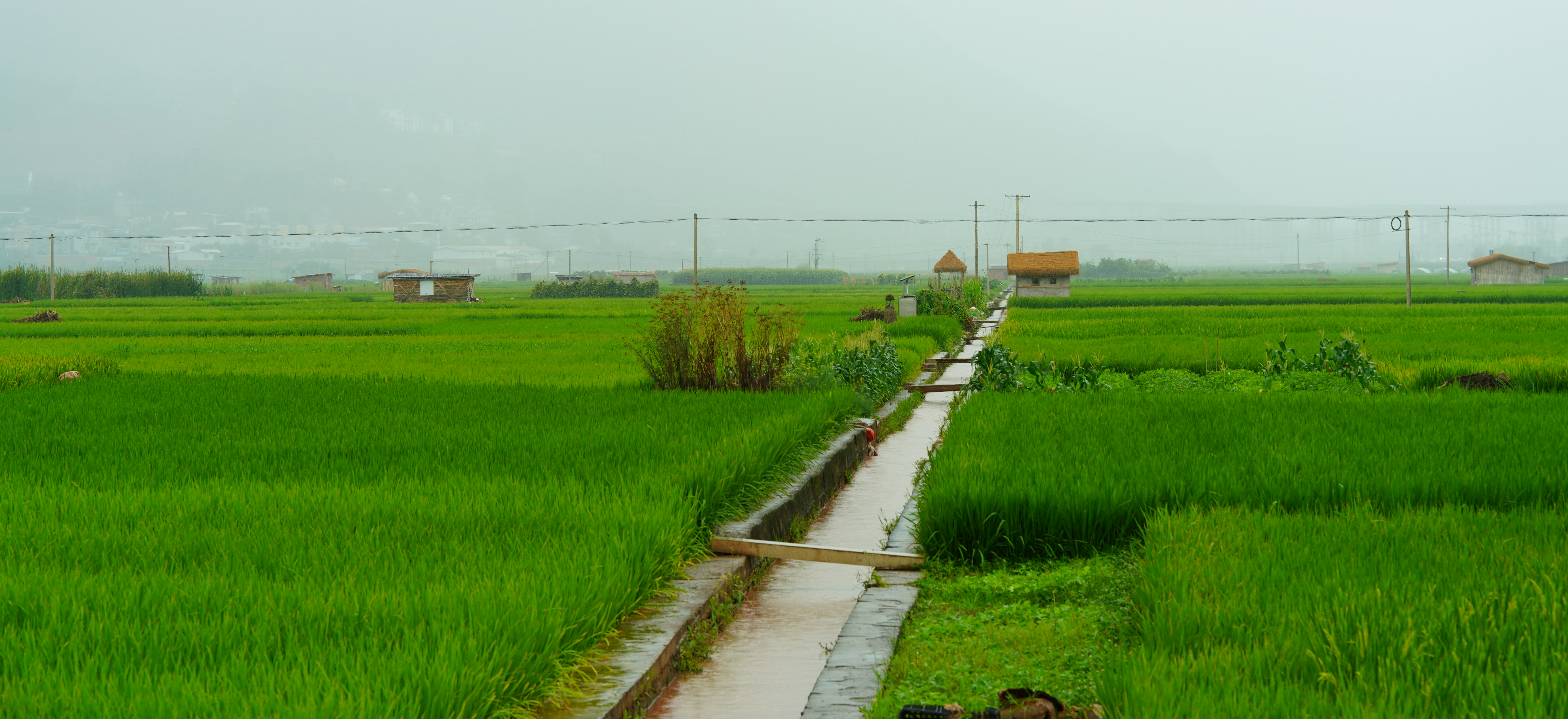 Fertilizer production facility