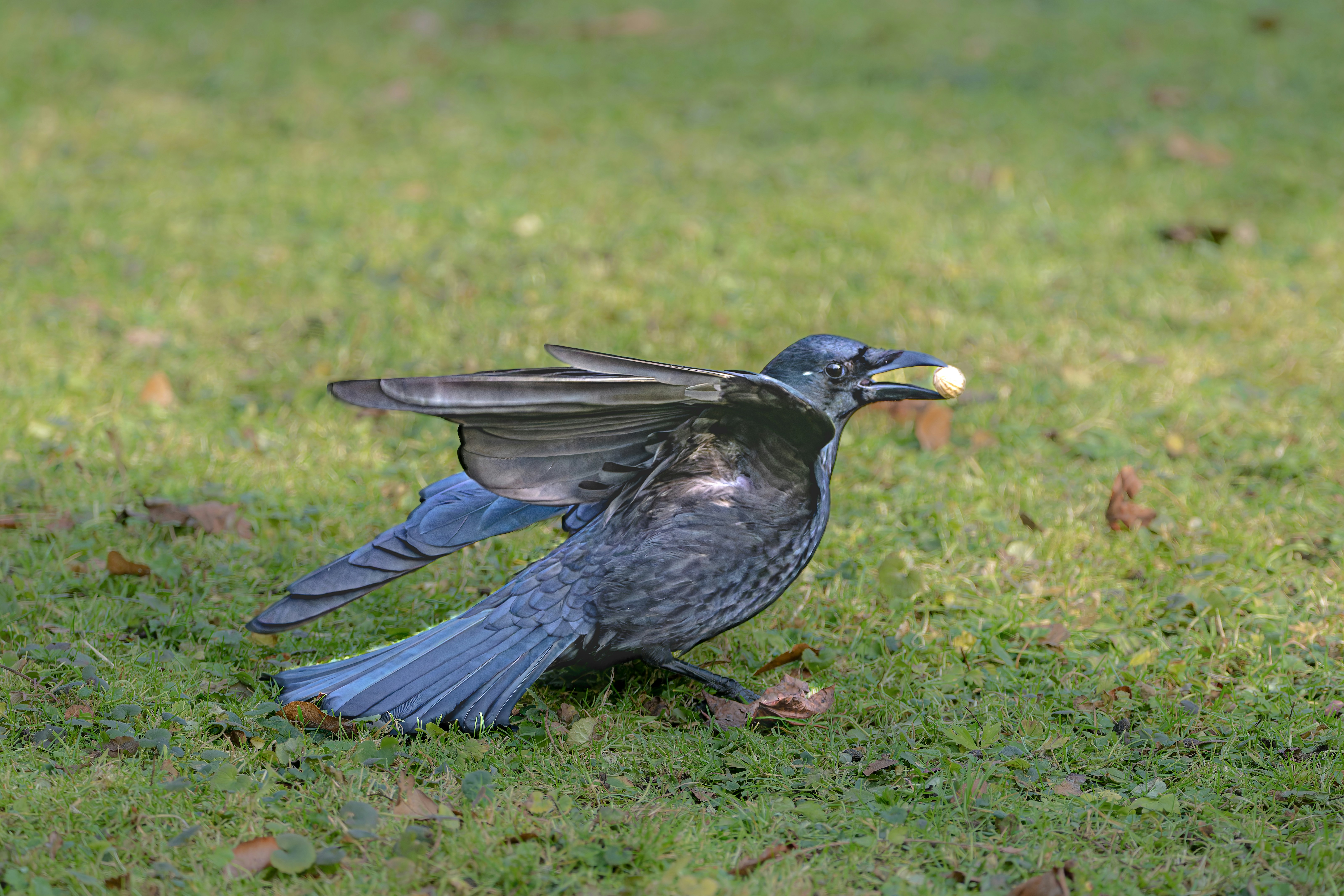 Photo by siegfriedpoepperl