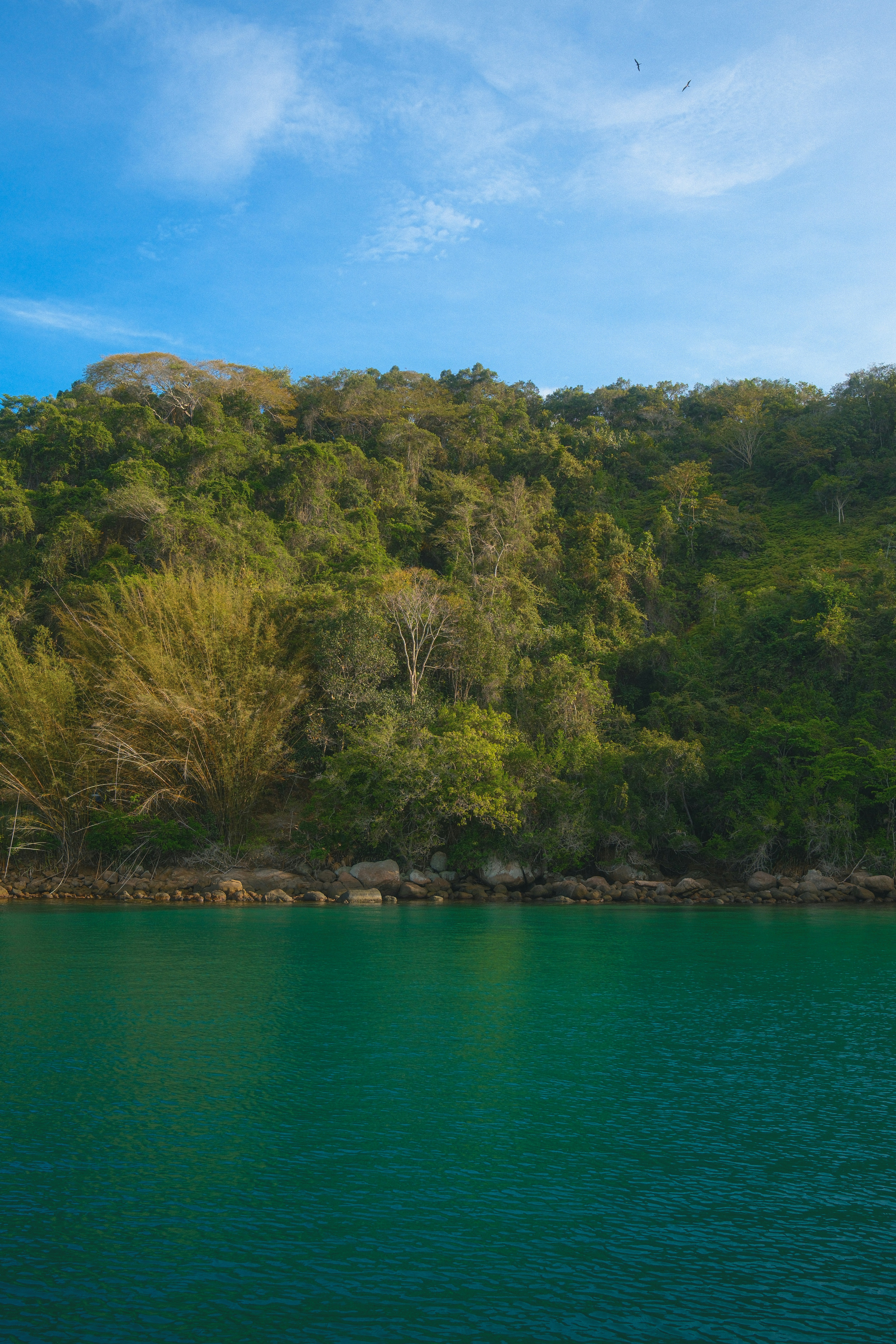 Photo by limamauro23