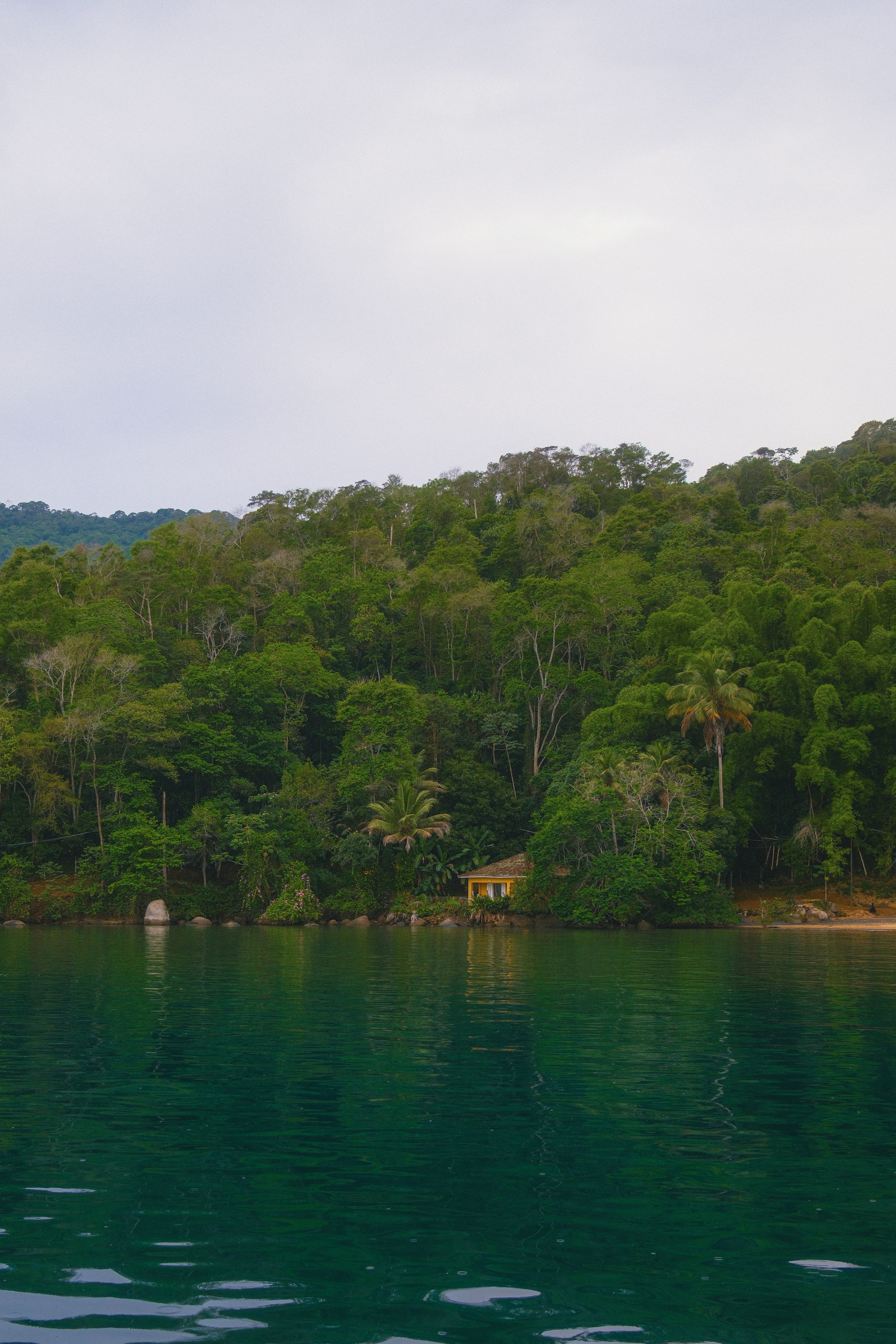 Photo by limamauro23