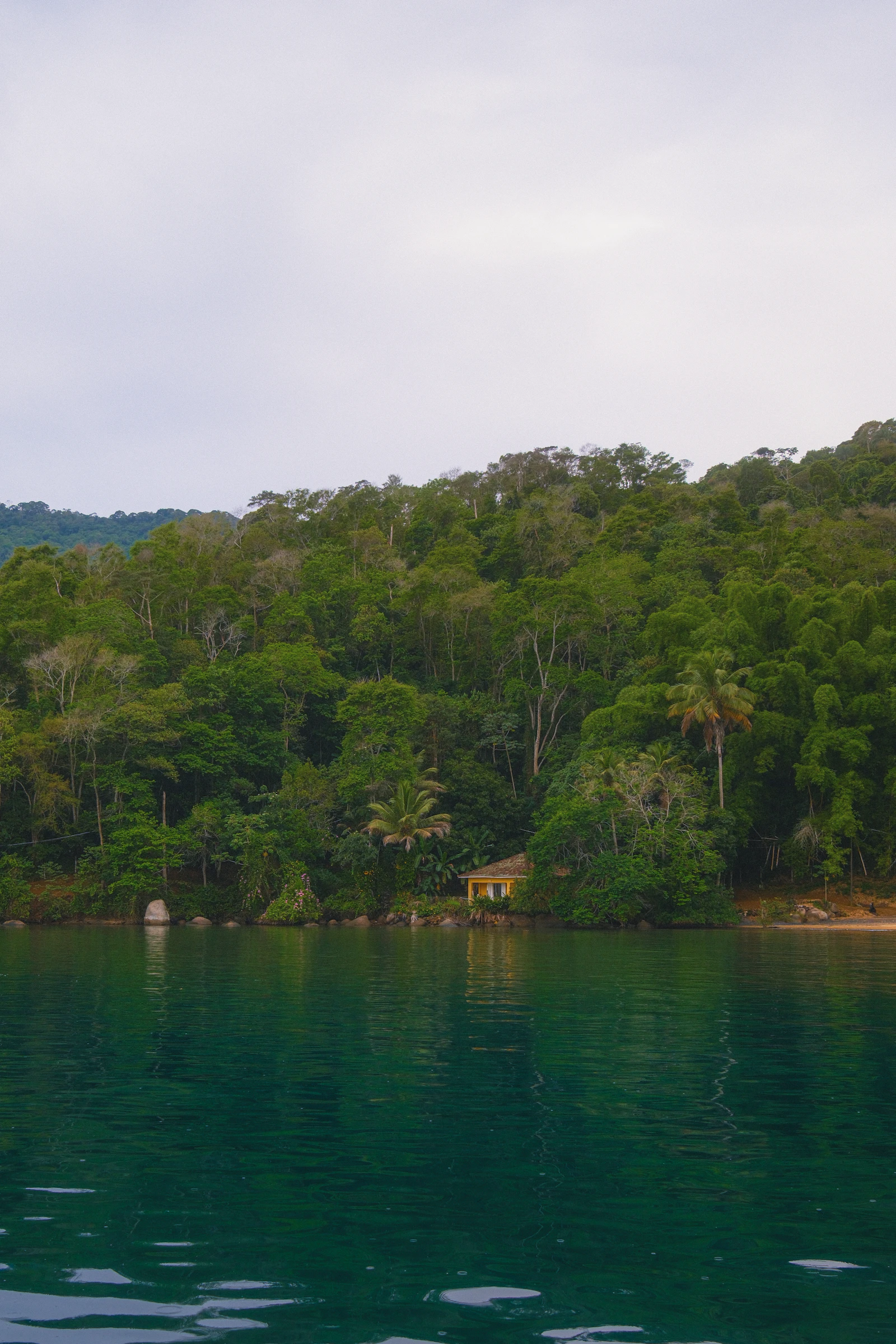 A small building at the edge of dense Atlantic Forest on Ilha Grande