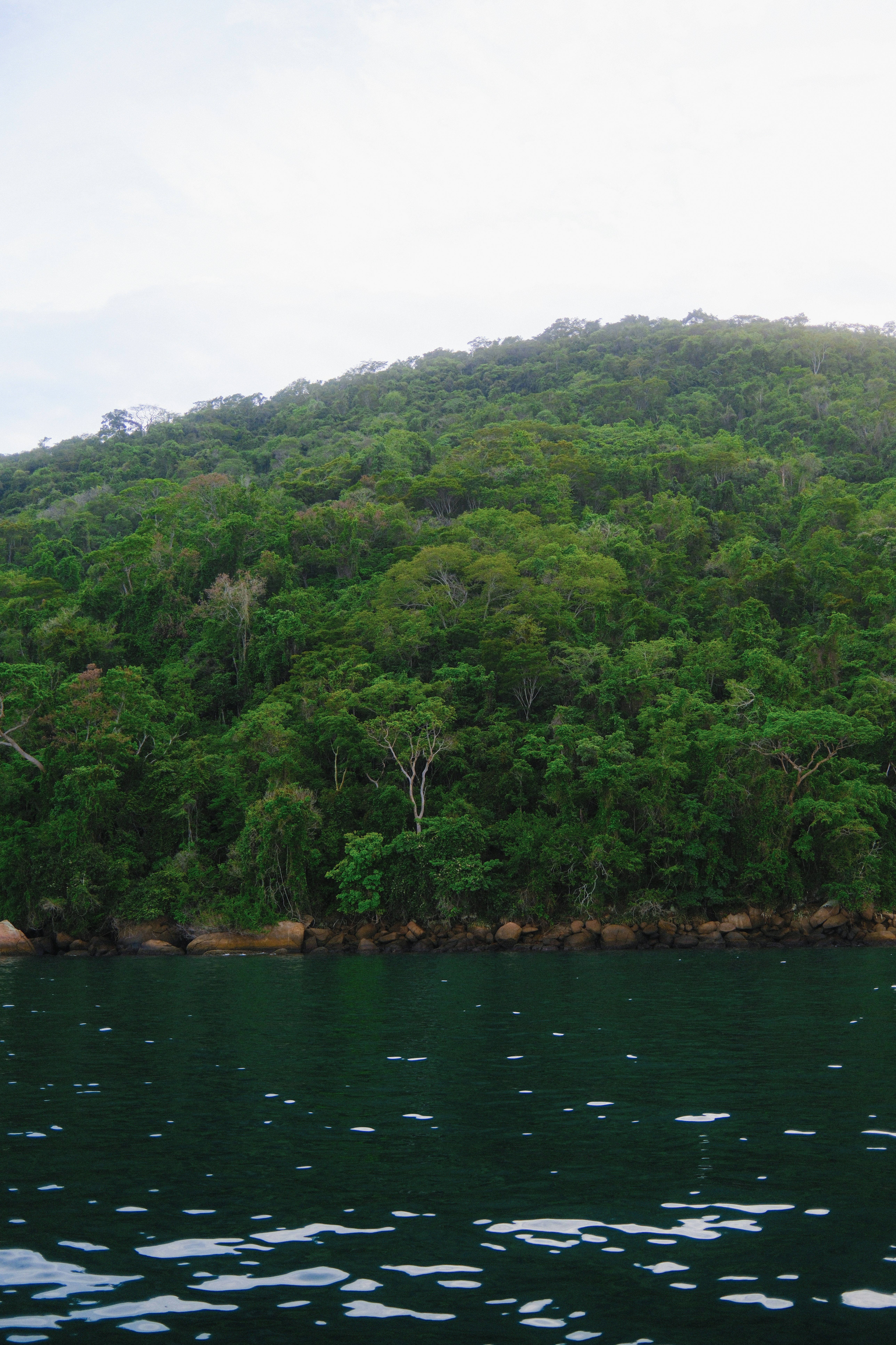 Photo by limamauro23