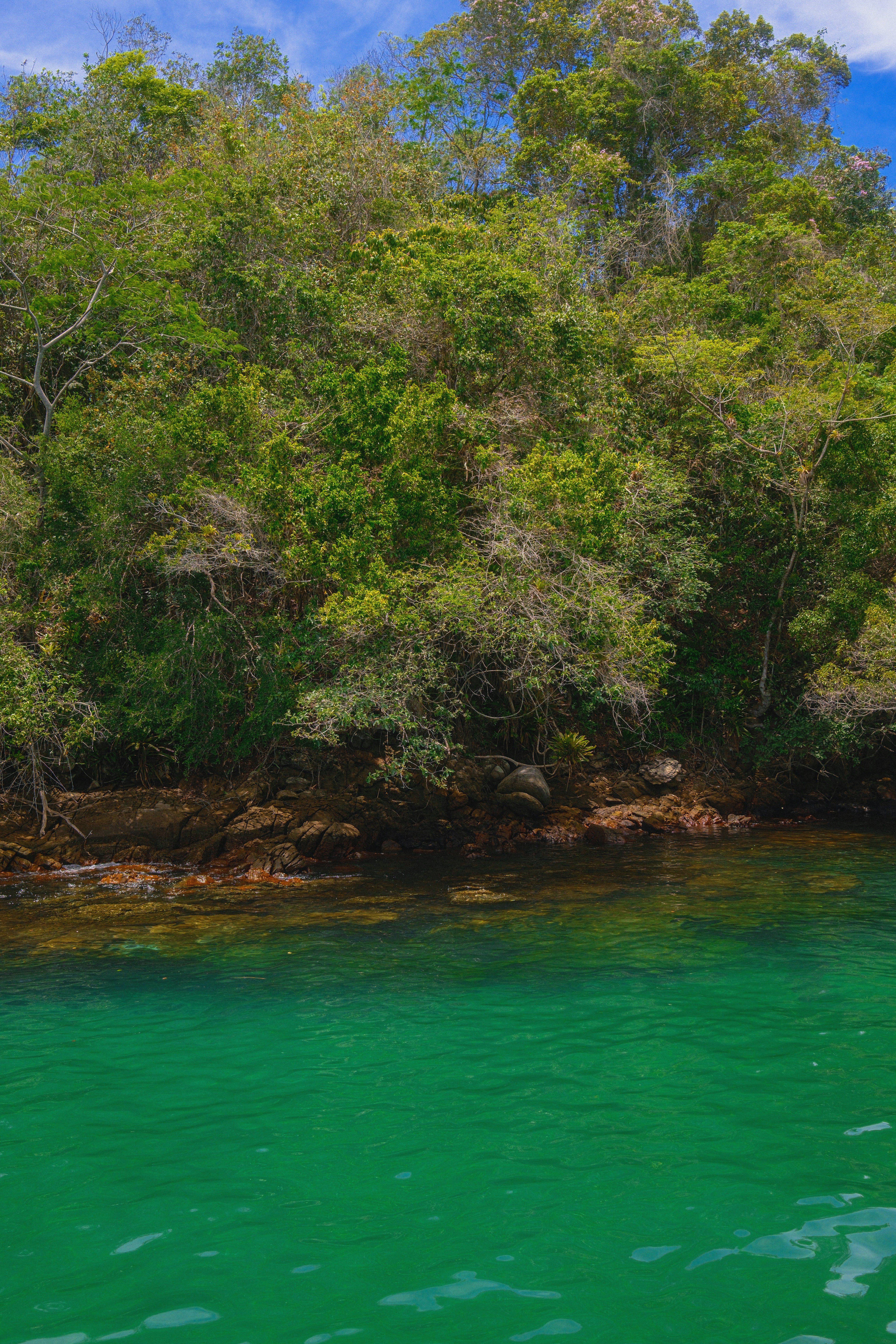 Photo by limamauro23