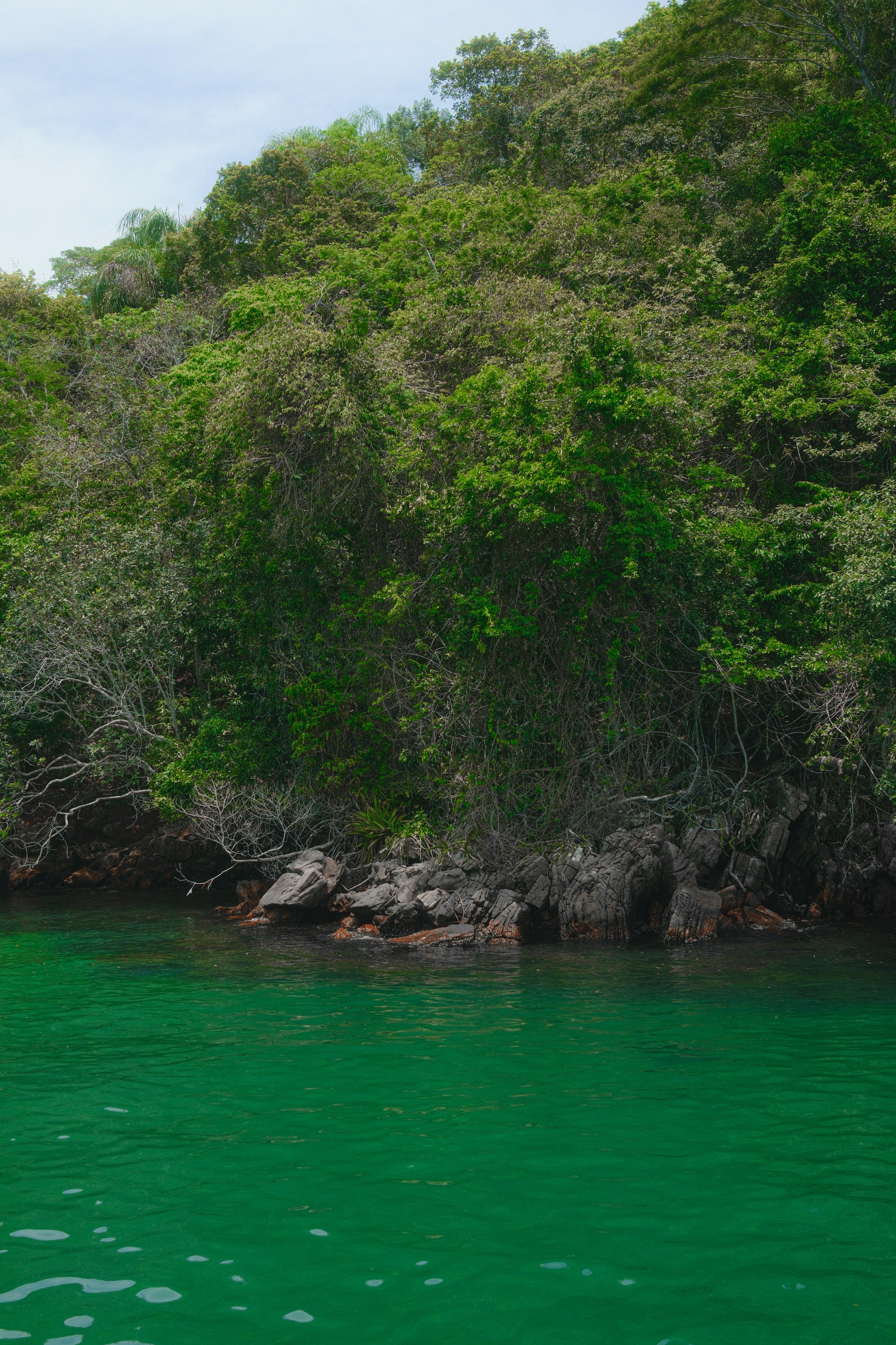 Photo by limamauro23