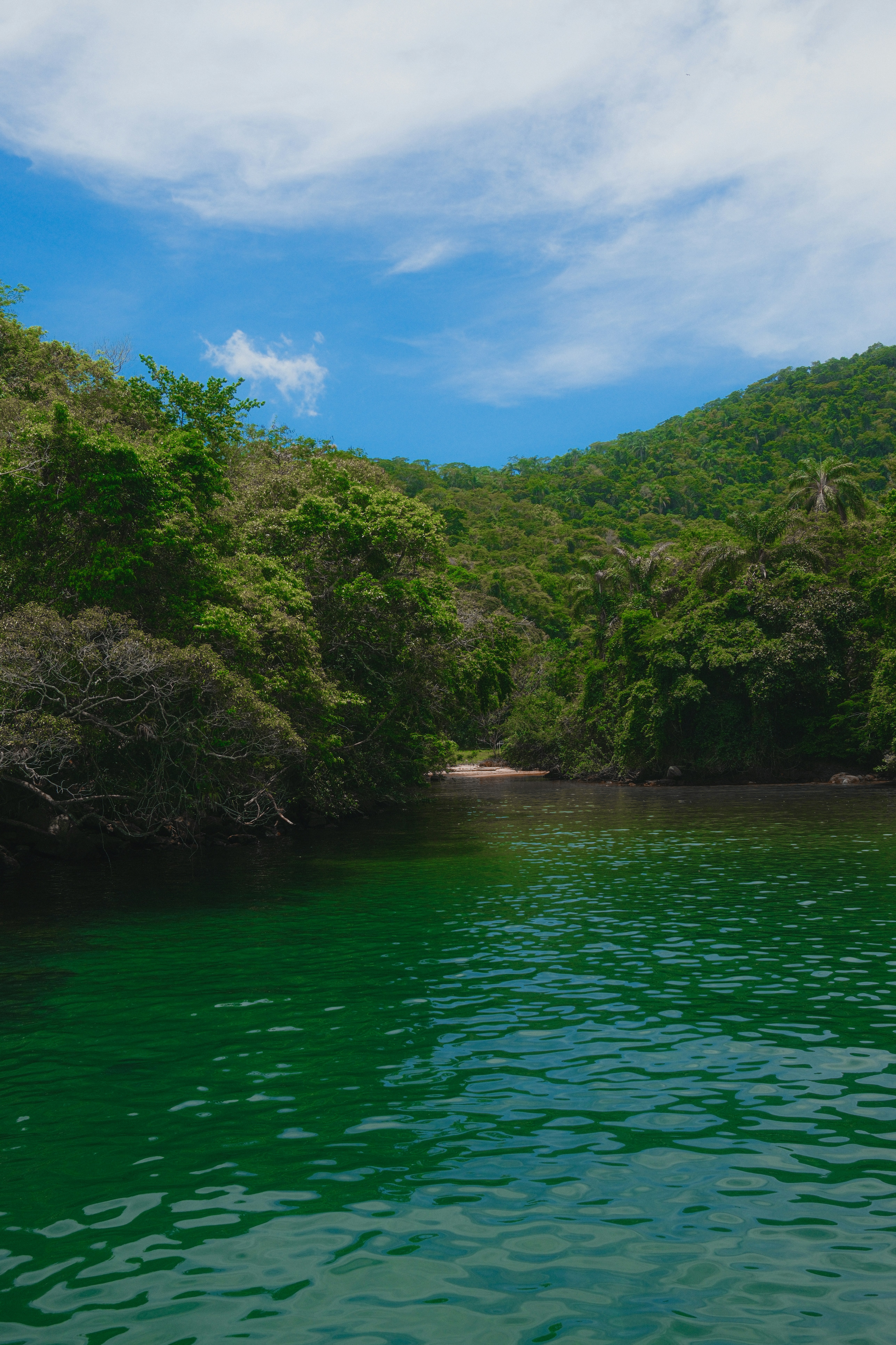 Photo by limamauro23