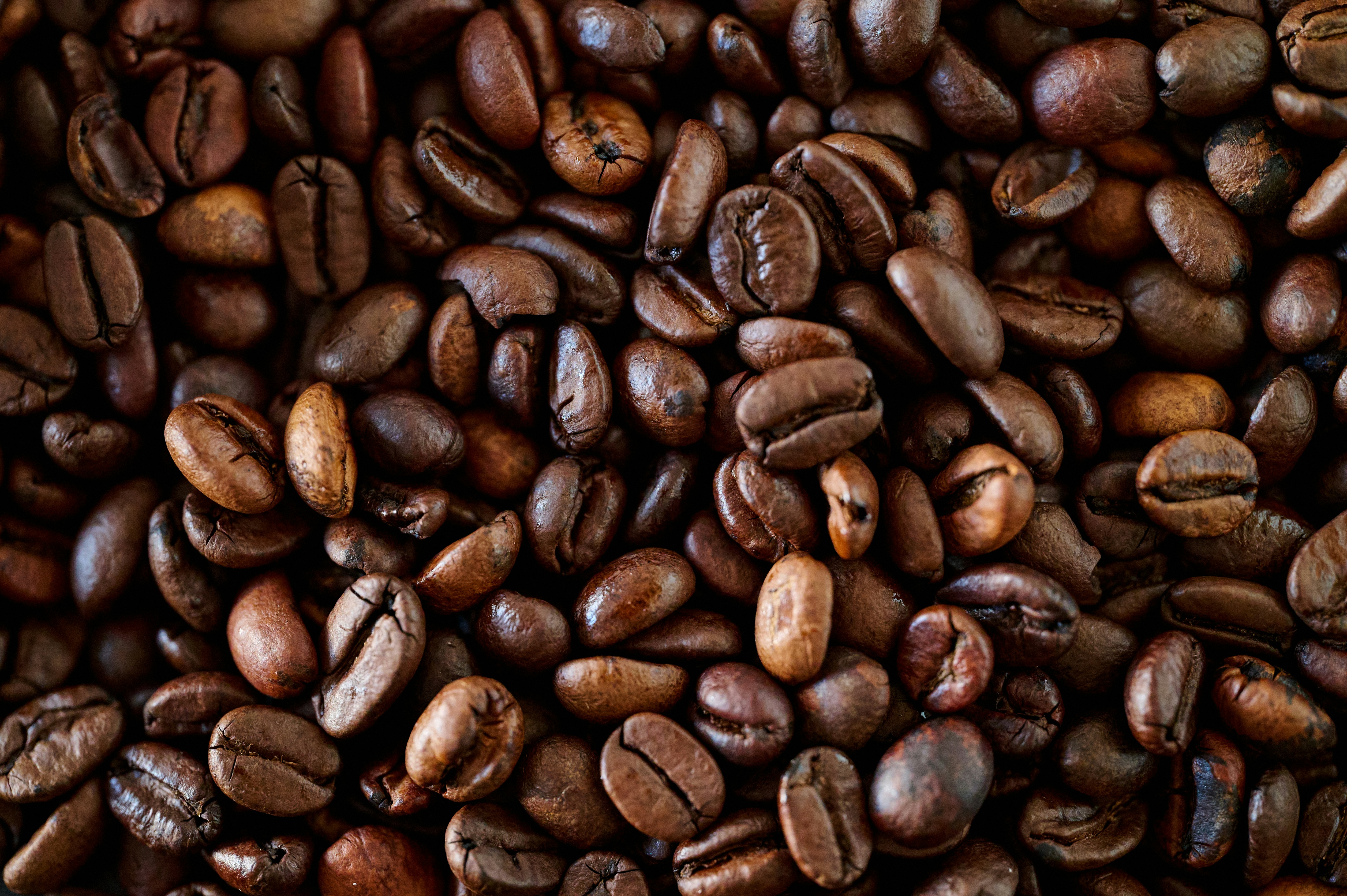 Photo by bkaraivanov