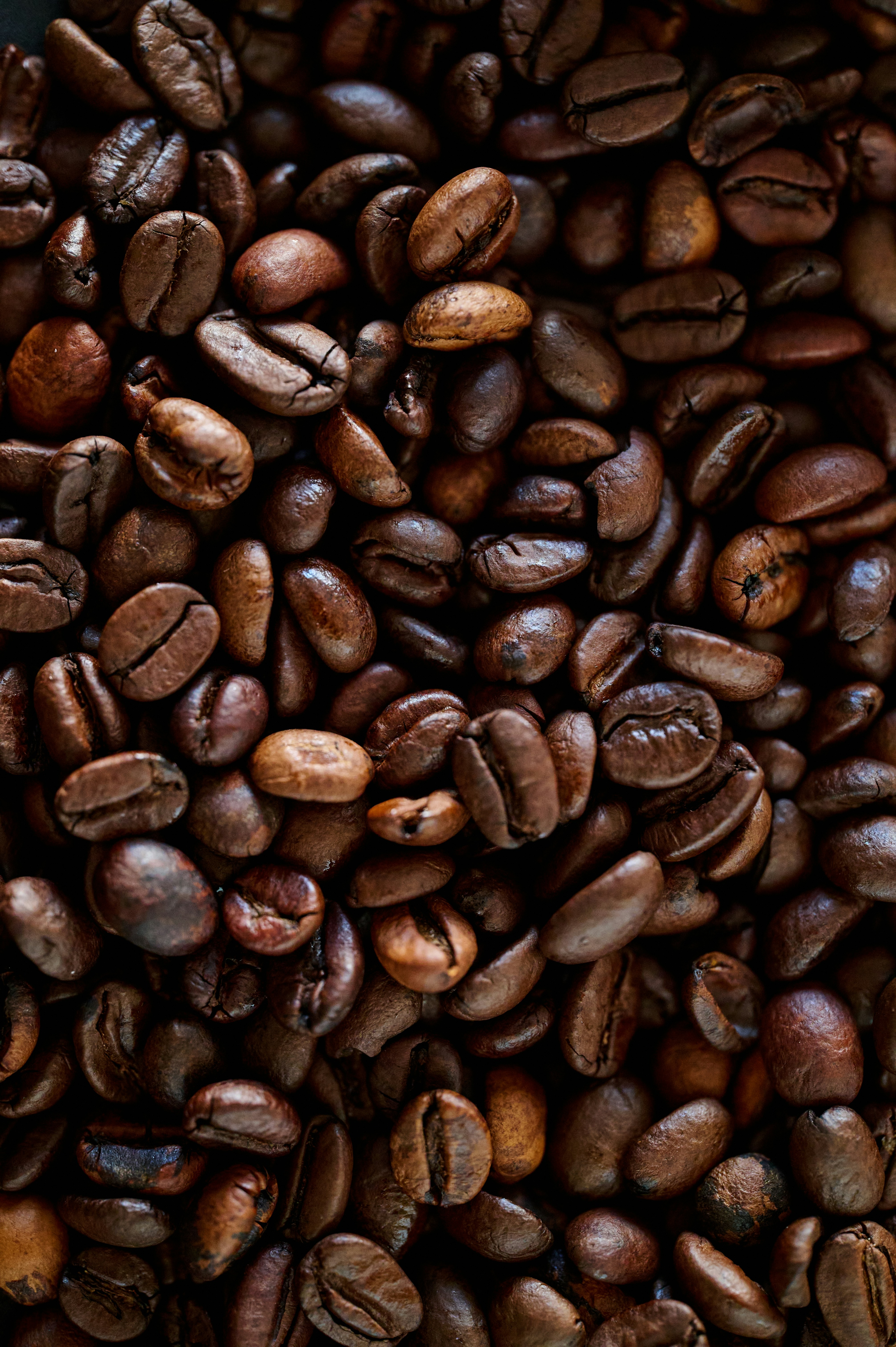 Photo by bkaraivanov