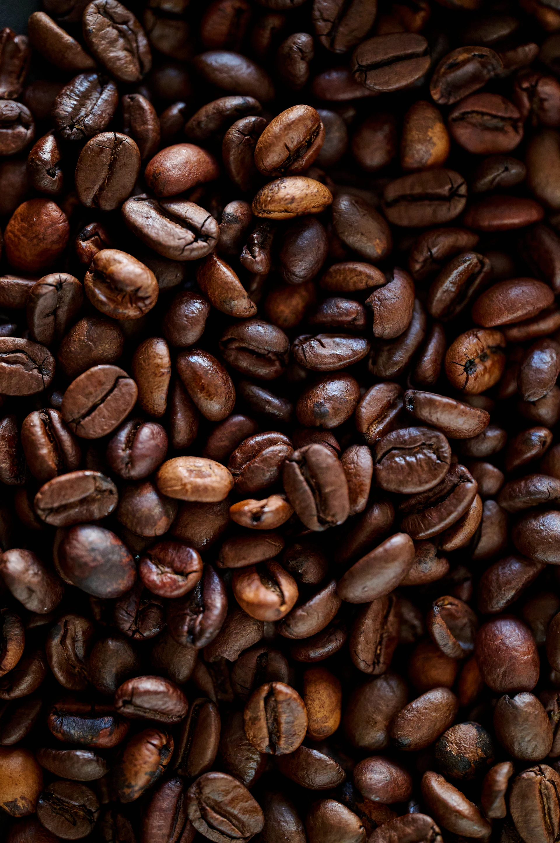 A single glistening dark-roasted coffee bean resting on obsidian glass, struck by gold light