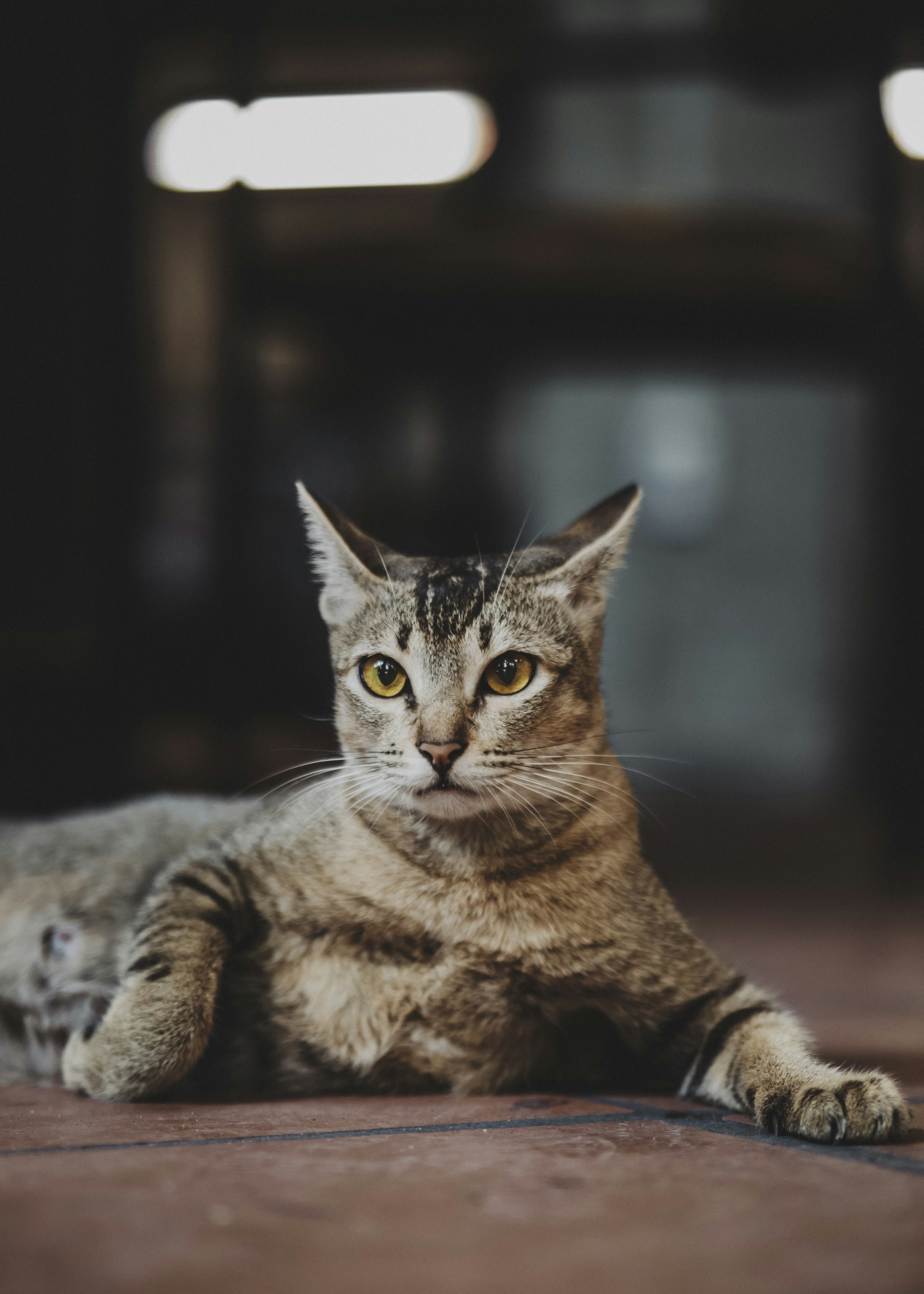 Photo by tkhao_khoang