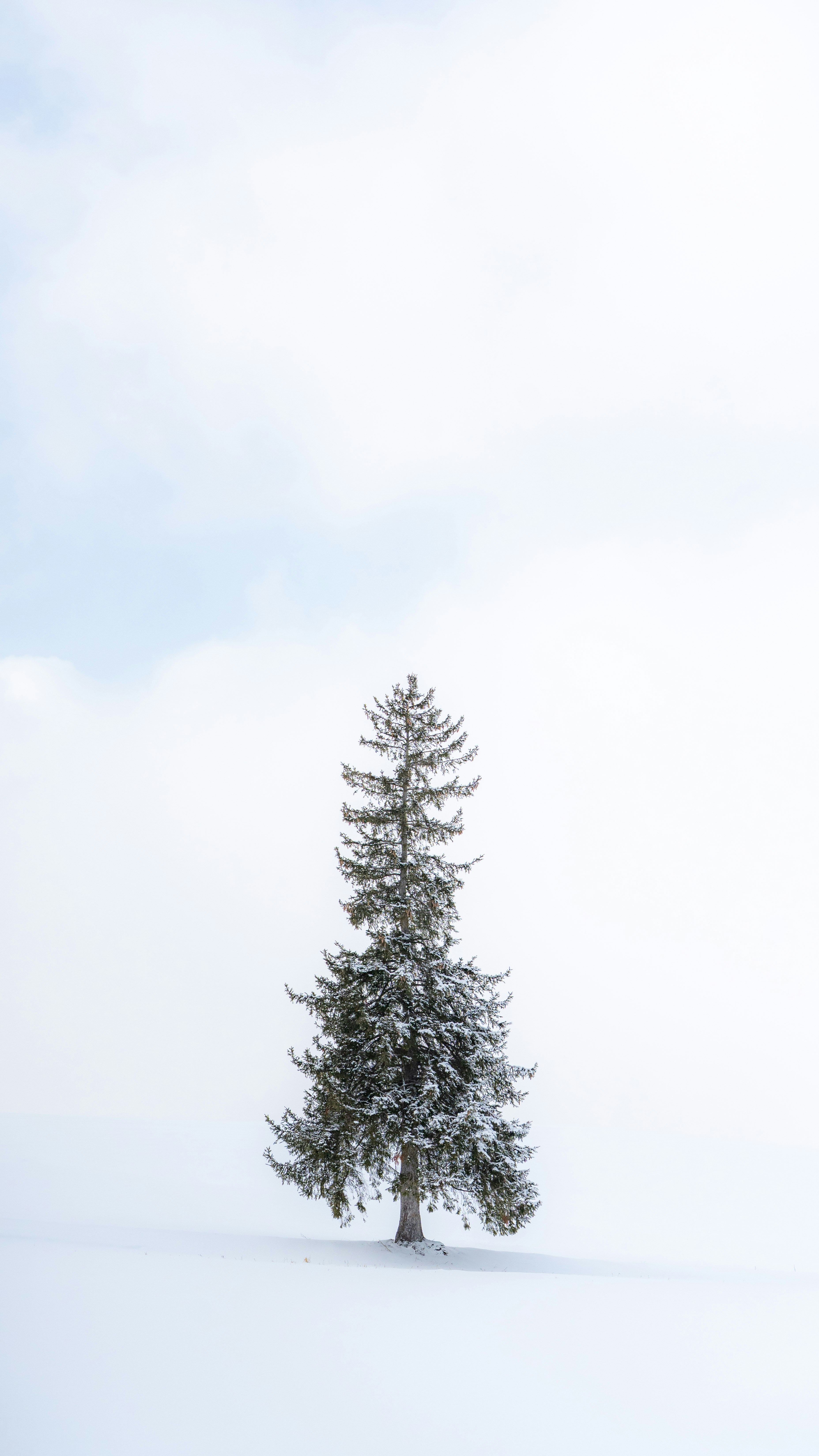 Photo by hyewonphotography