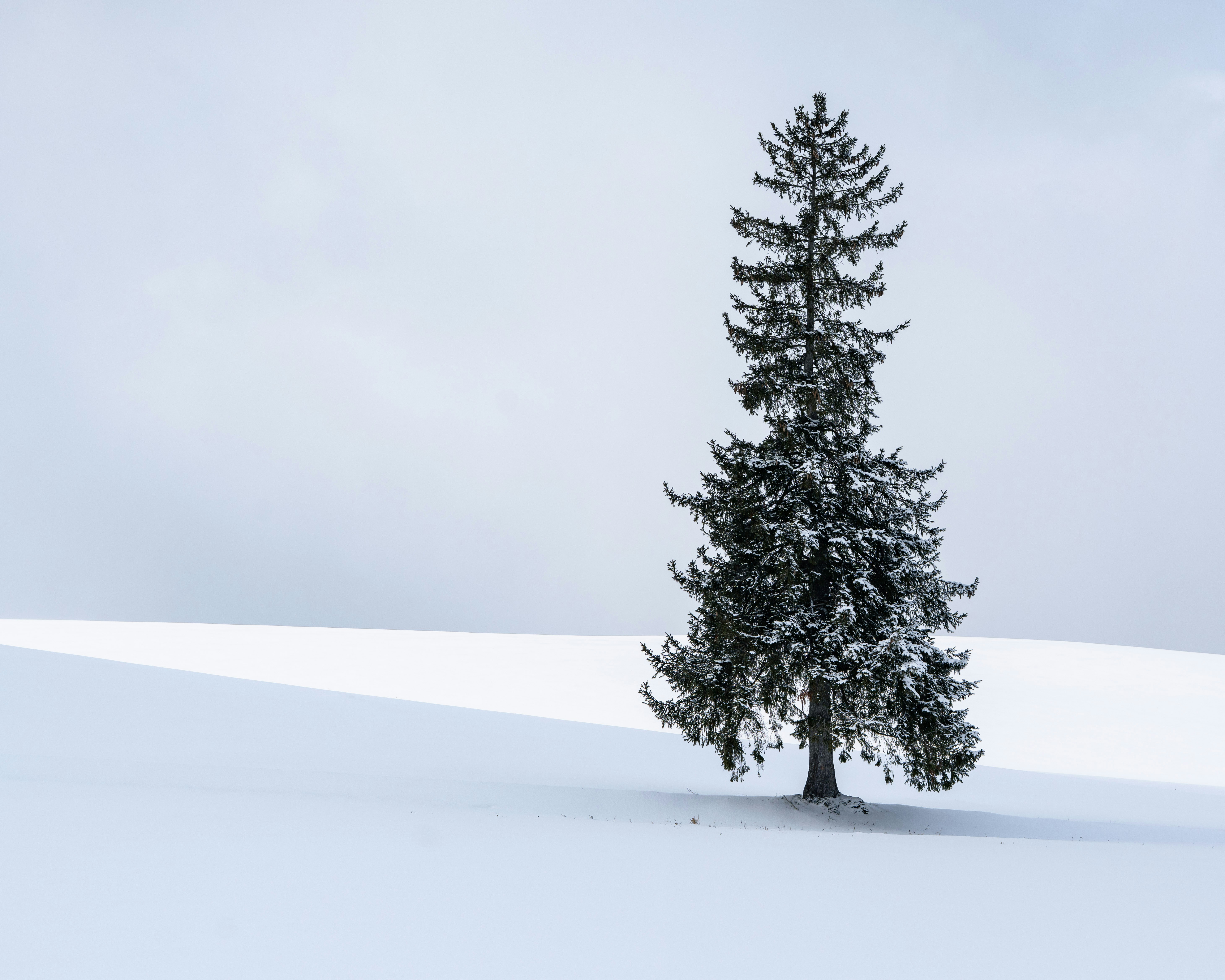 Photo by hyewonphotography