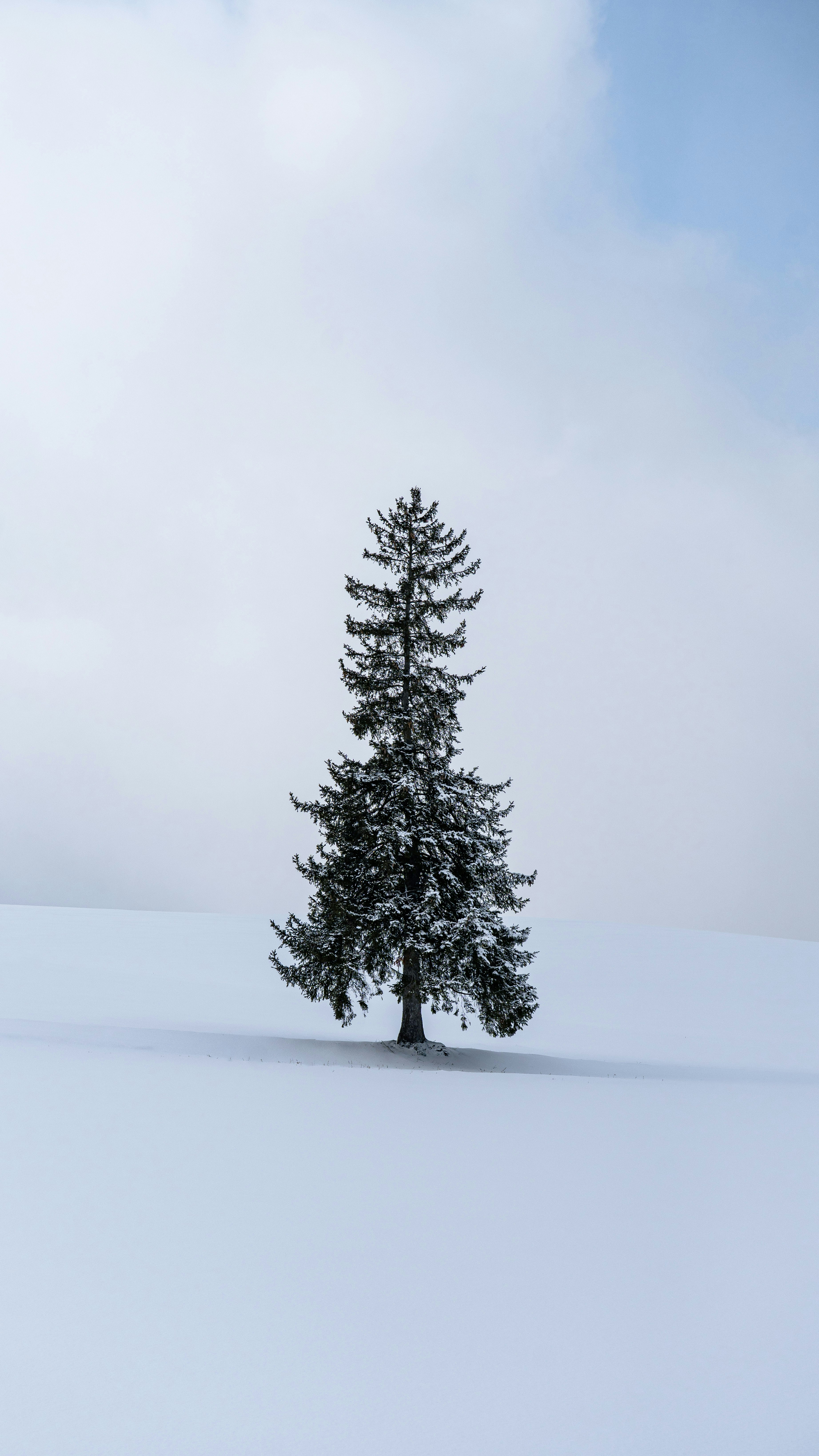 Photo by hyewonphotography