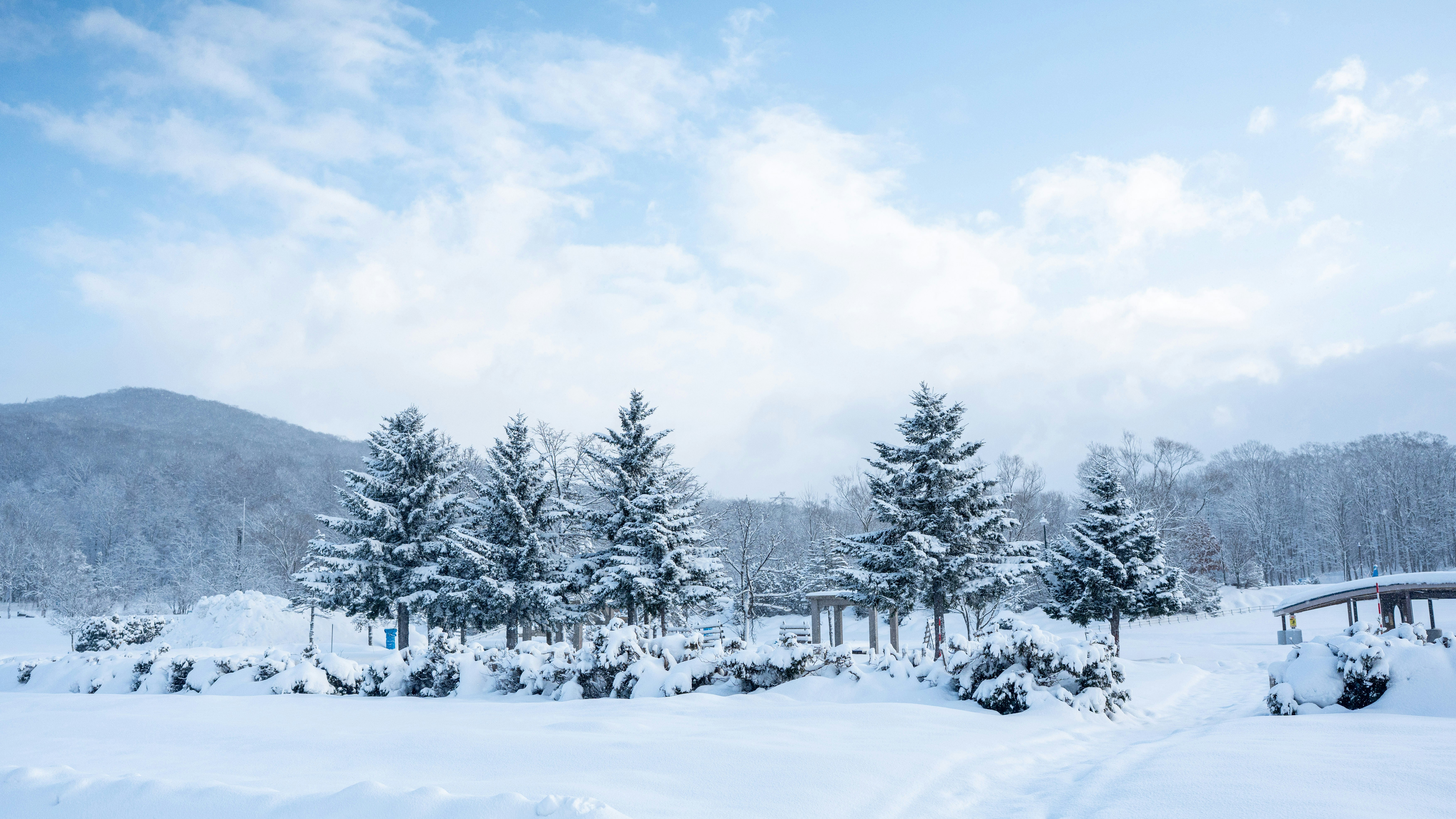 Photo by hyewonphotography