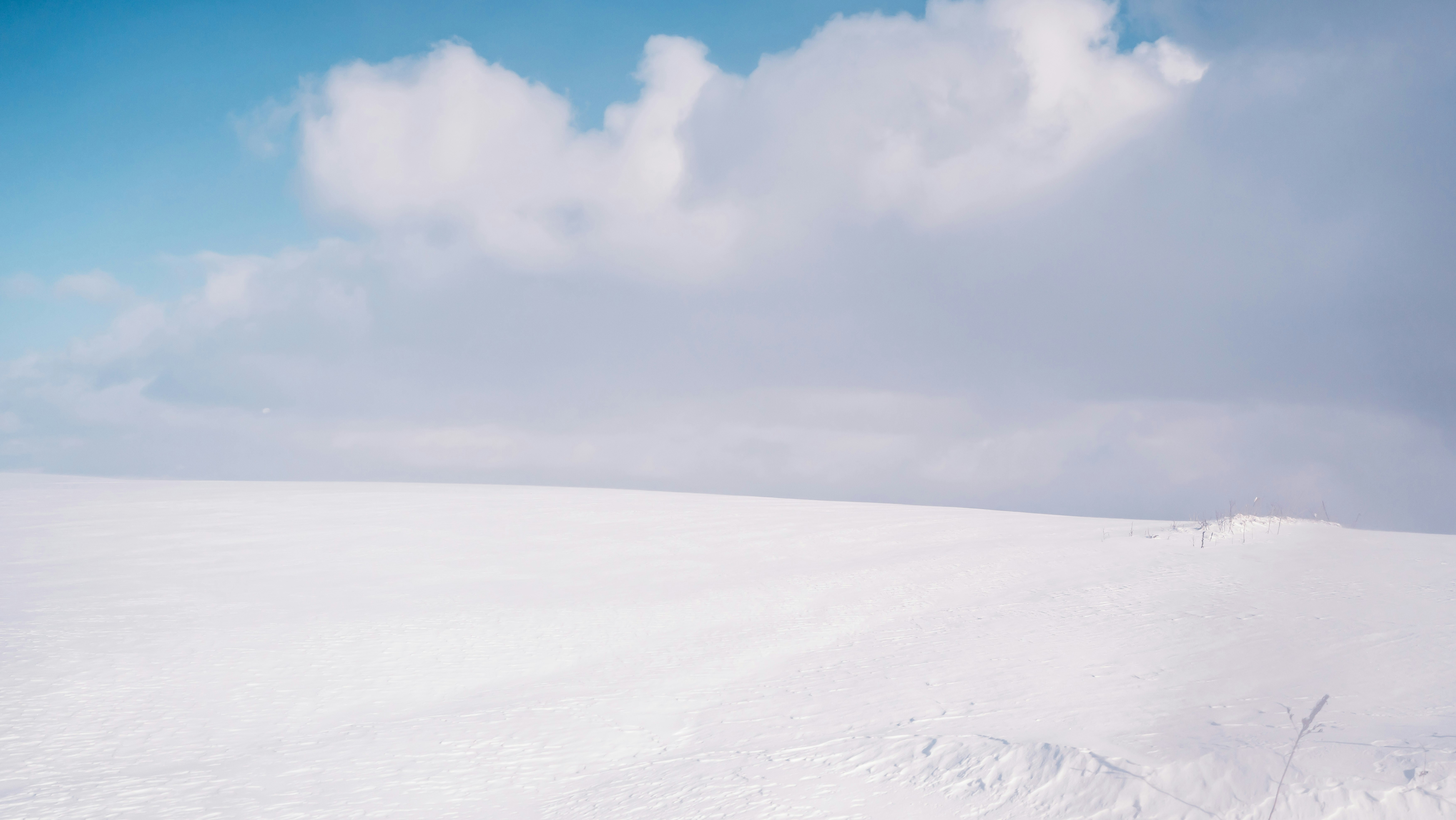 Photo by hyewonphotography