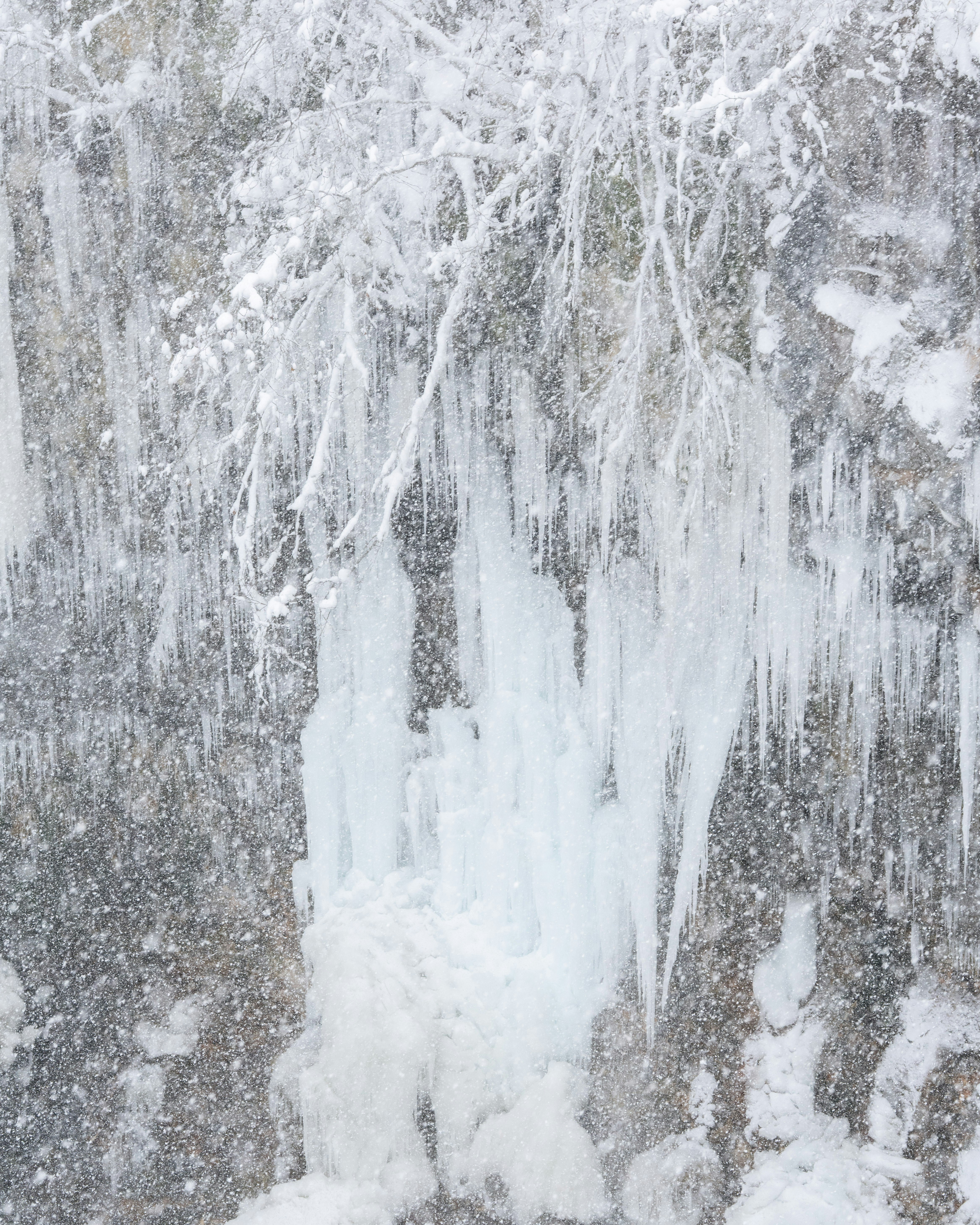 Photo by hyewonphotography