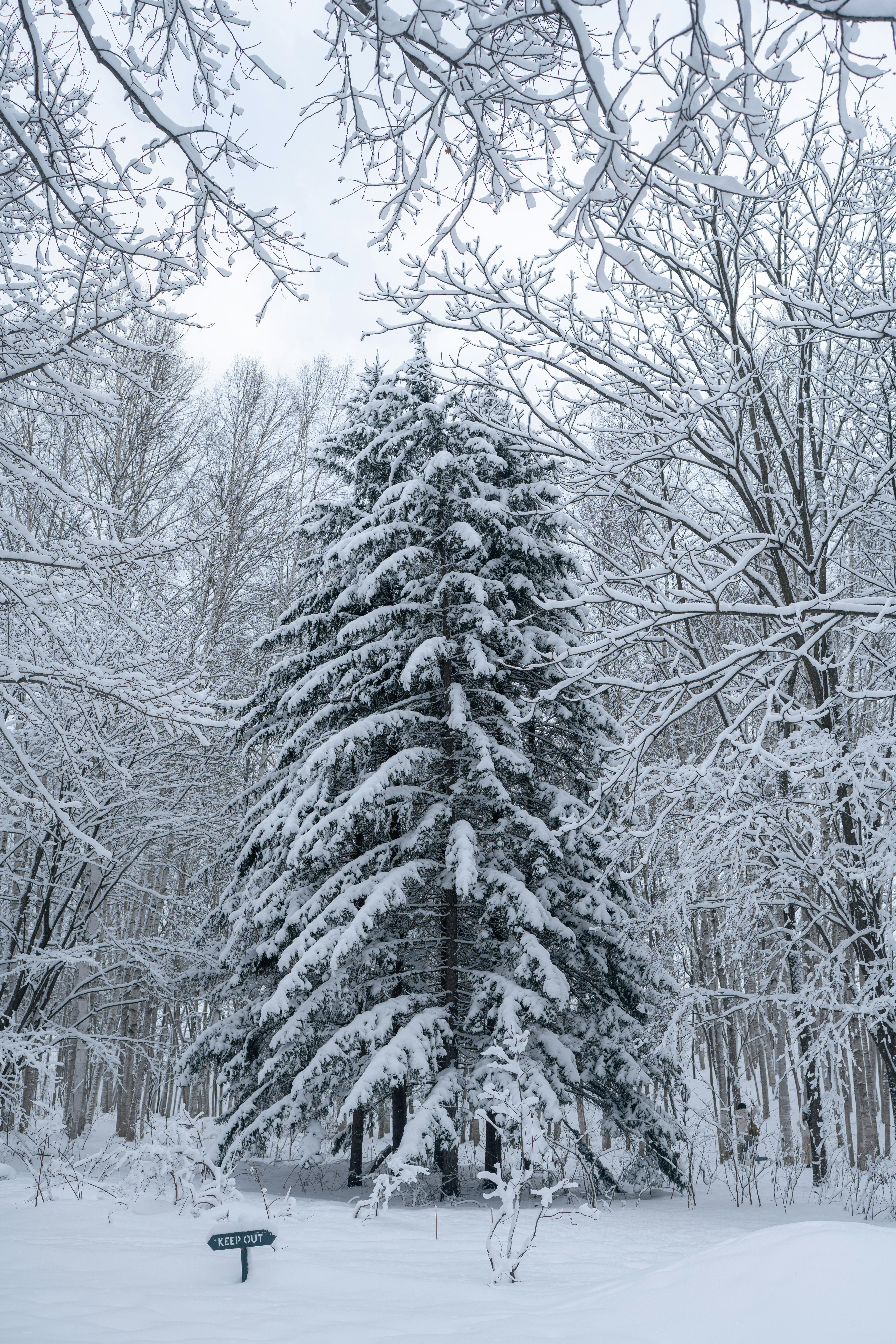 Photo by hyewonphotography