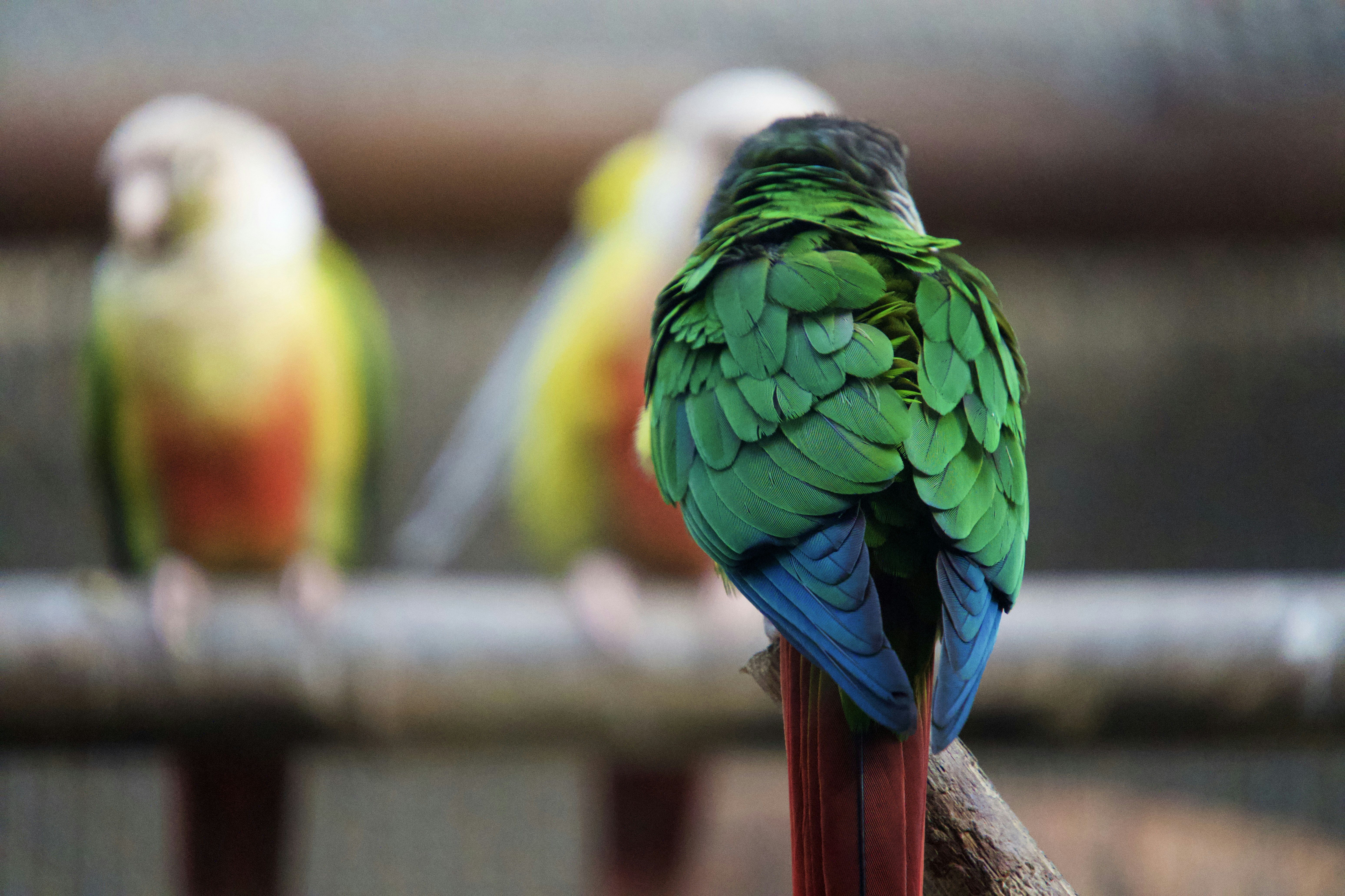 Photo by dokidokiphotoclub