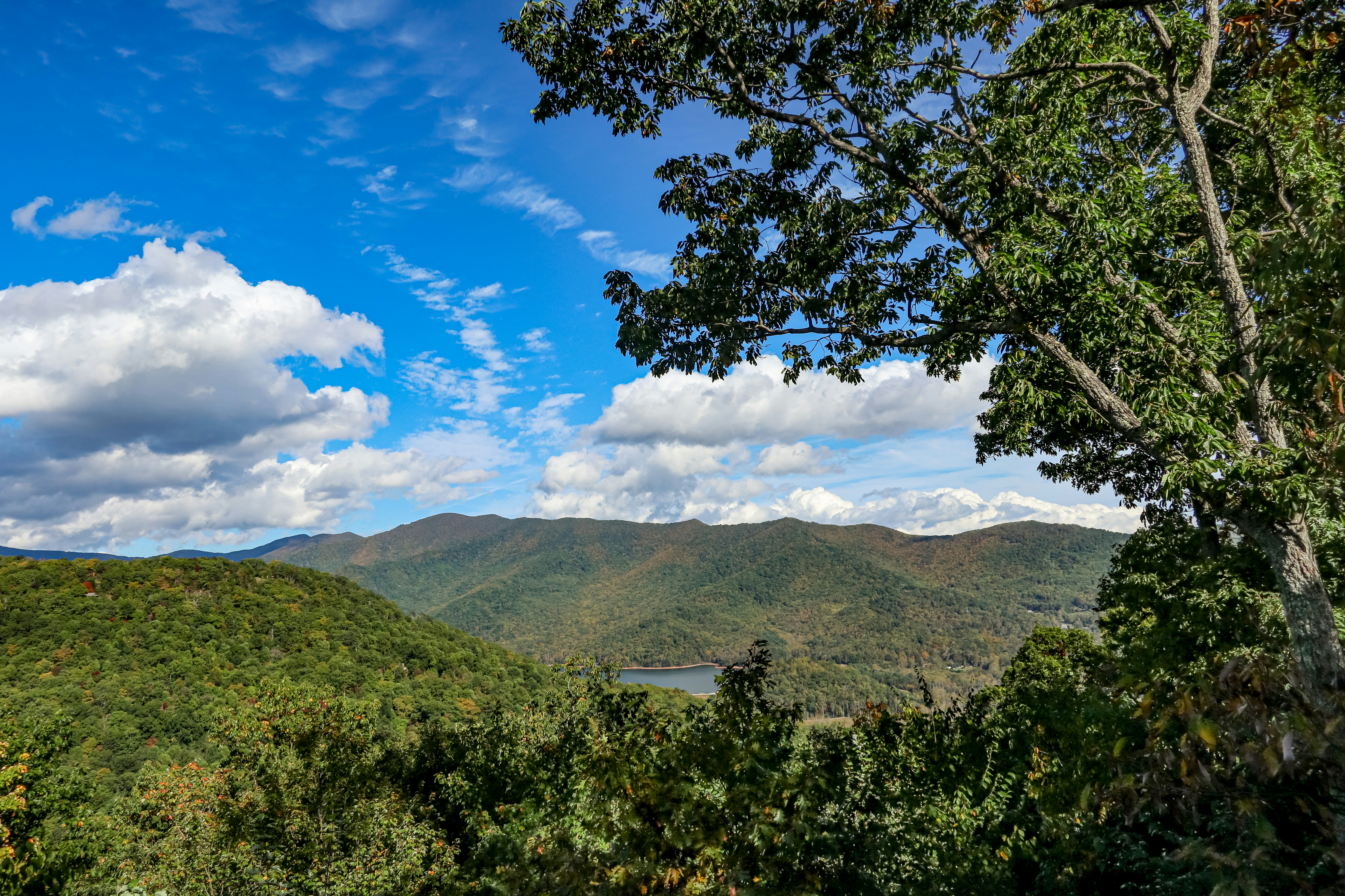 Photo by luannhunt180