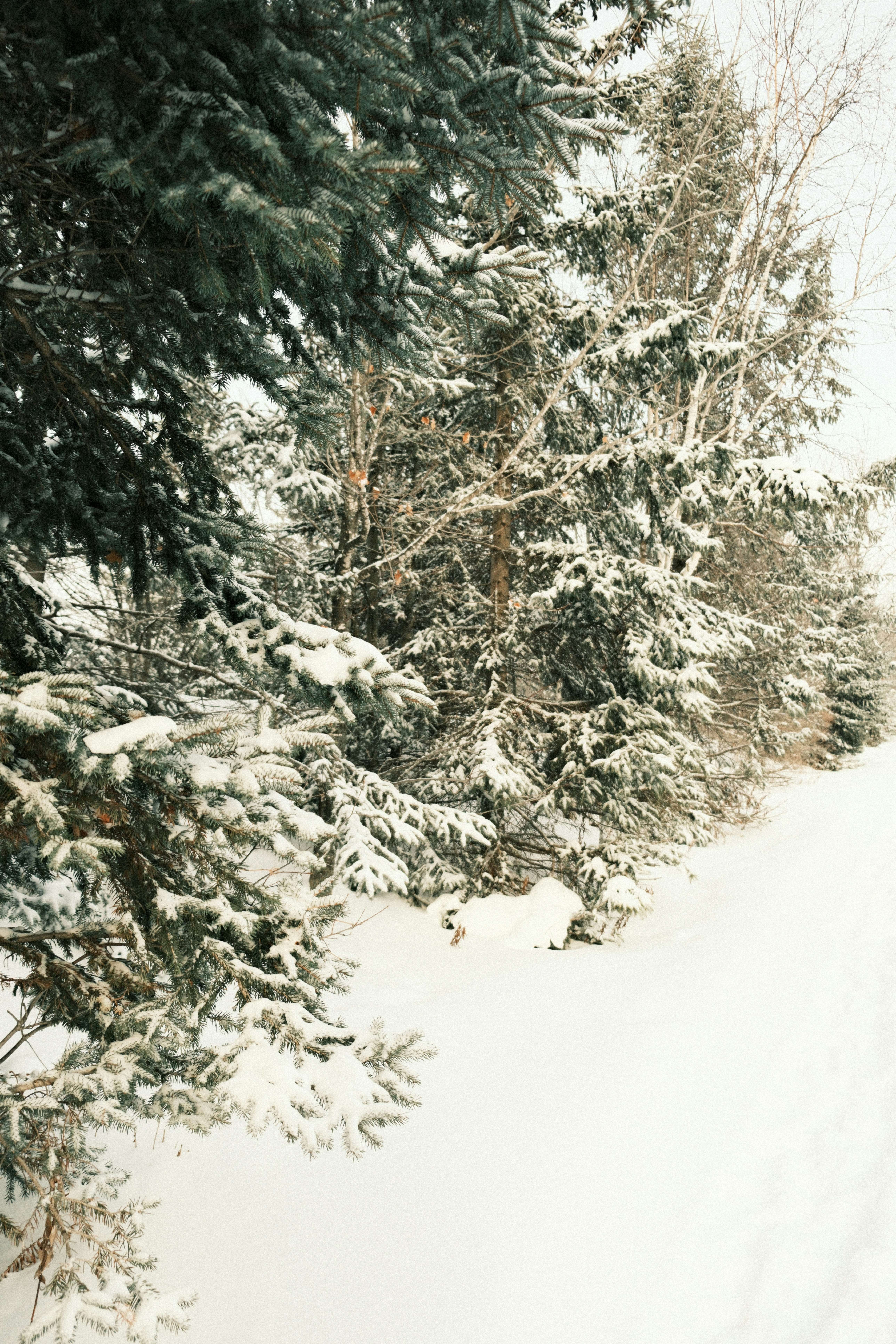 Photo by natashareddy