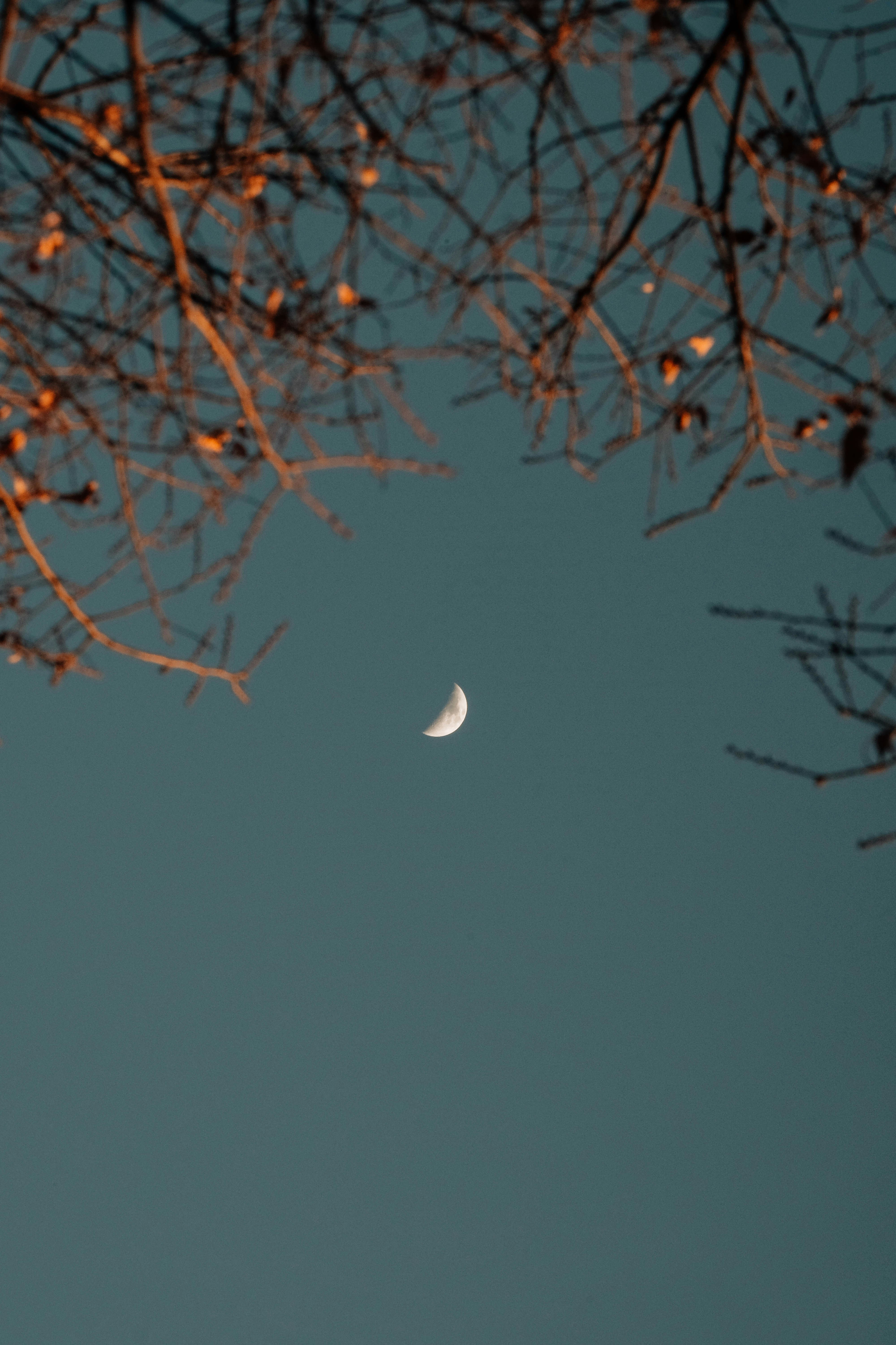 Photo by insungpandora