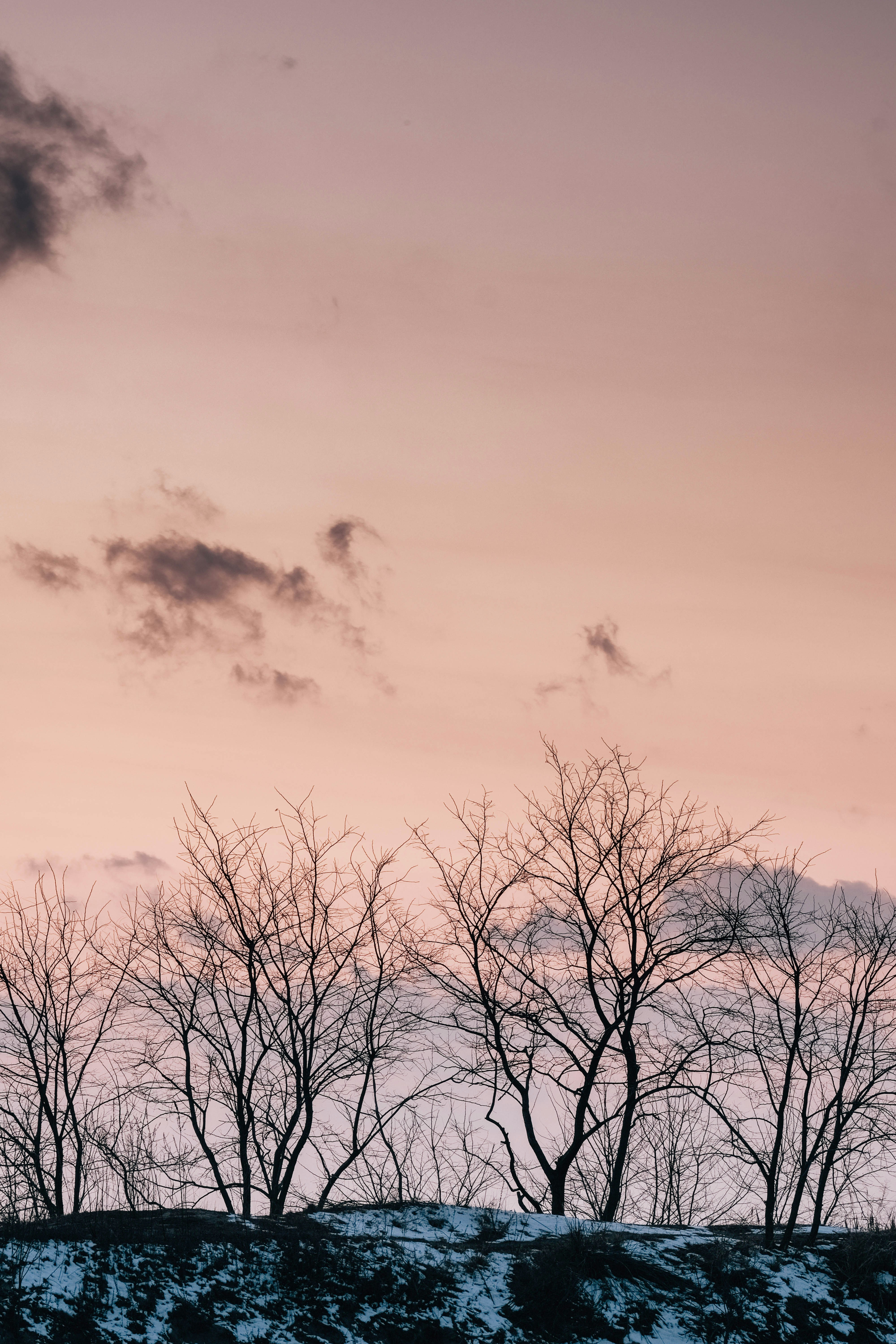 Photo by insungpandora