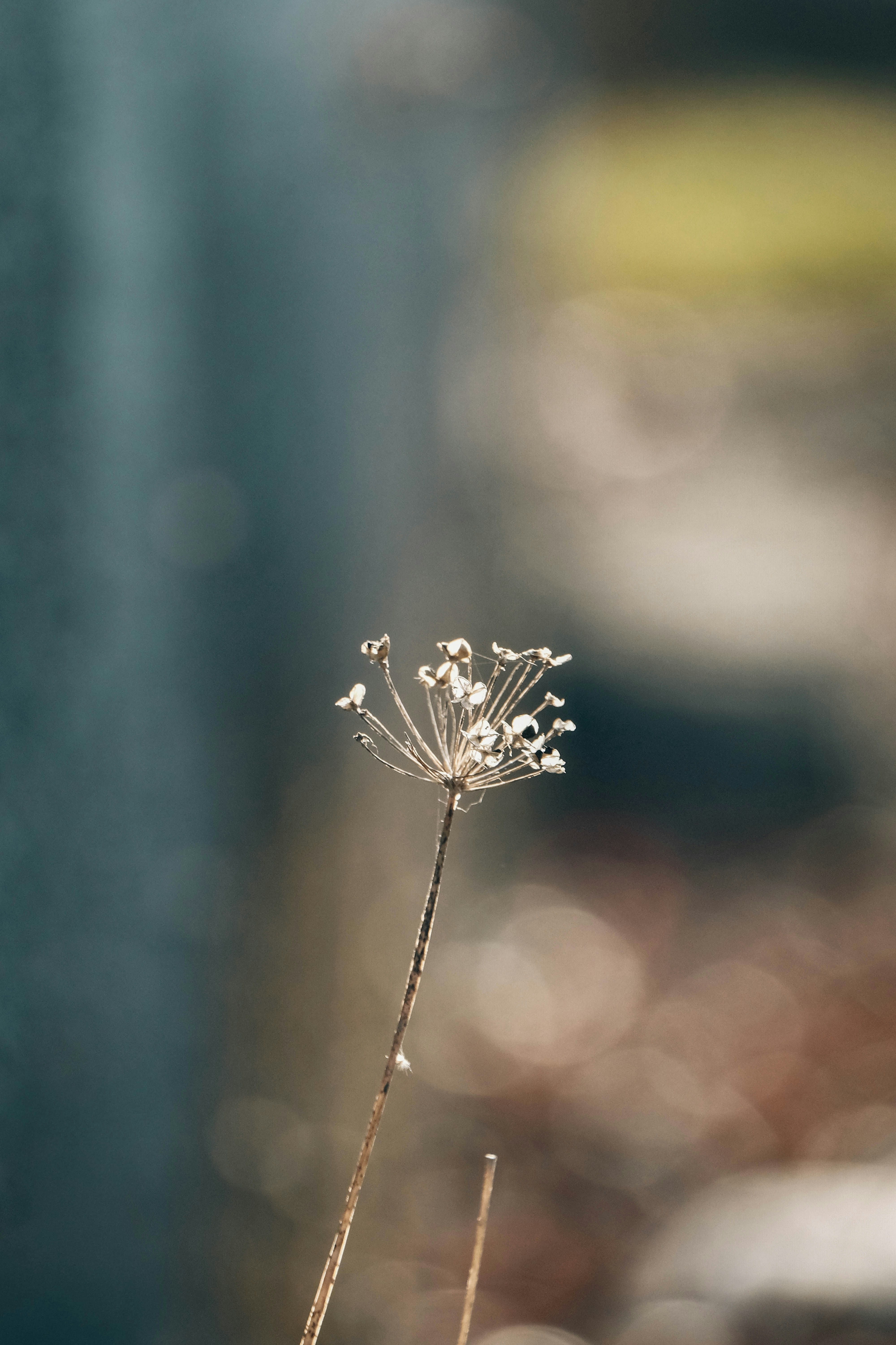 Photo by insungpandora