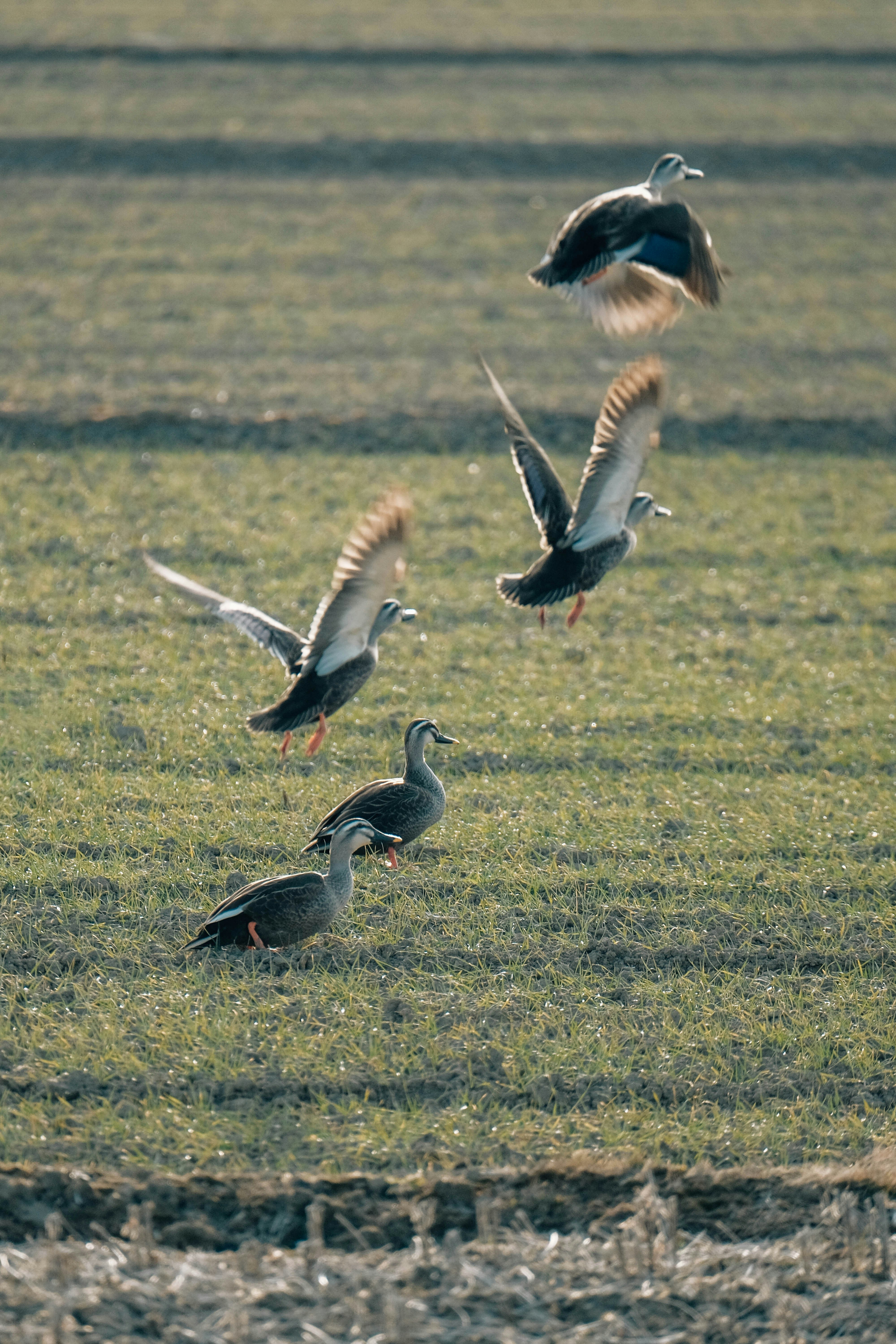 Photo by insungpandora