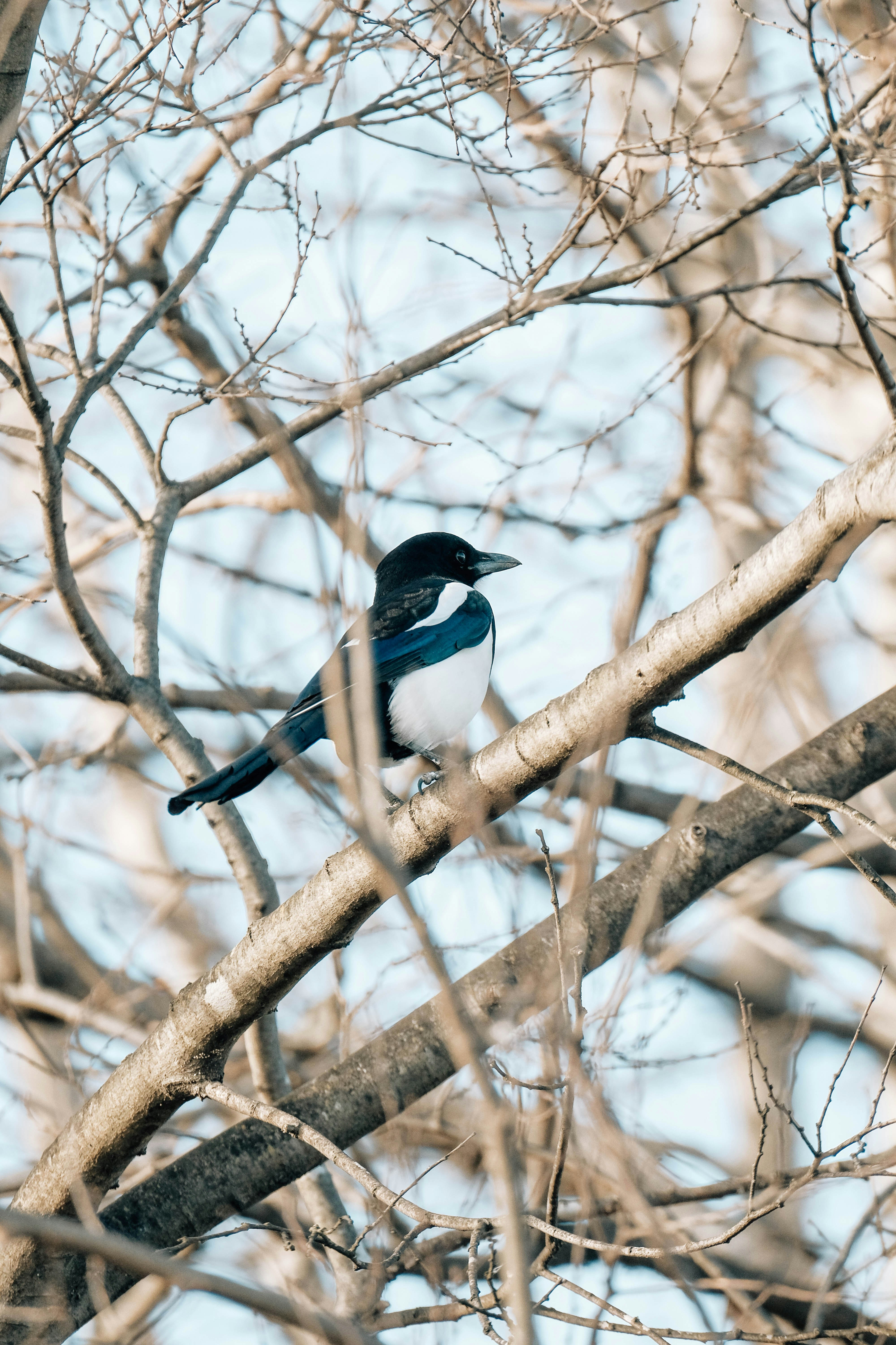 Photo by insungpandora