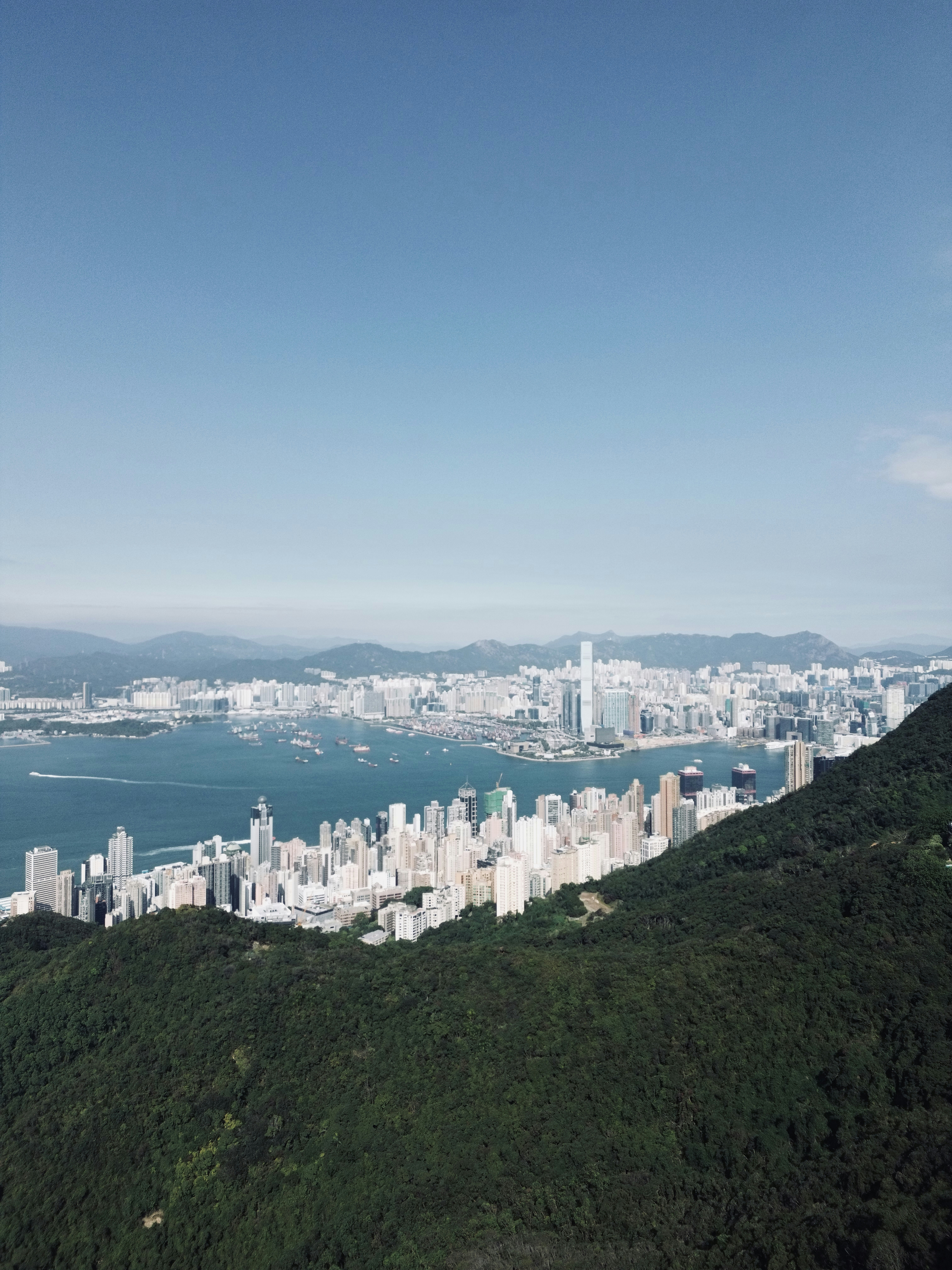 Photo by artemisss666