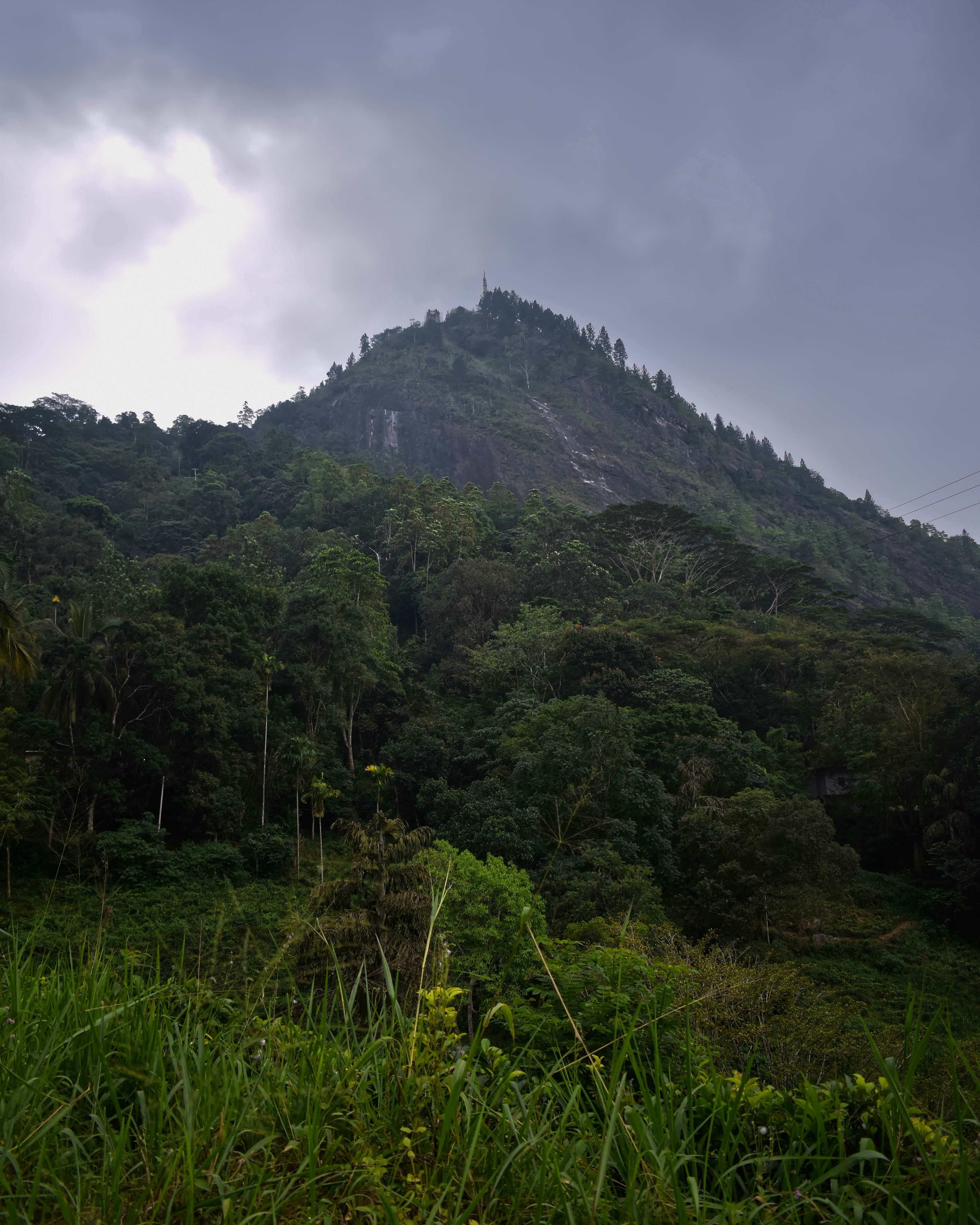 Photo by hasny_ameen