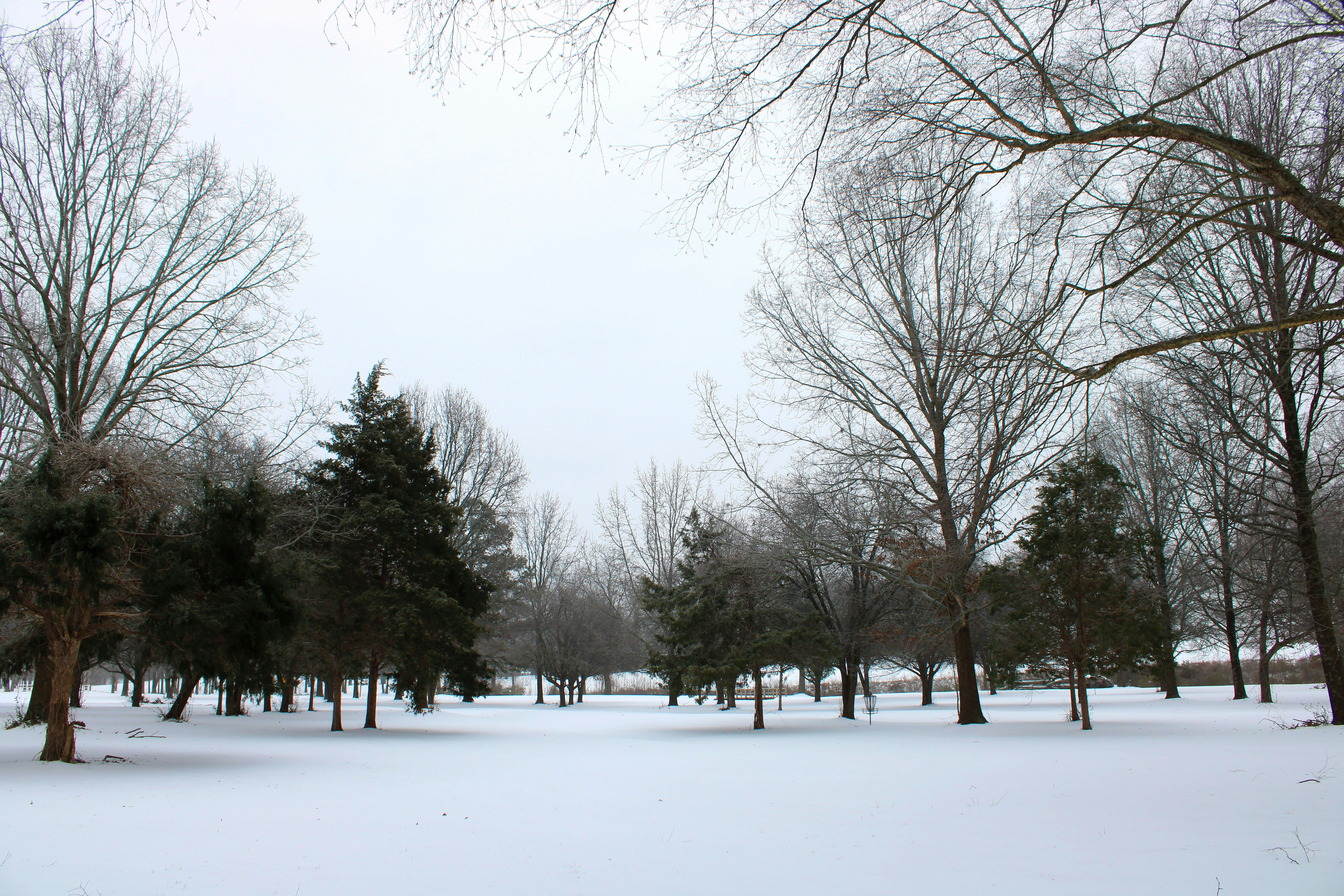 Photo by sidebysidestudios