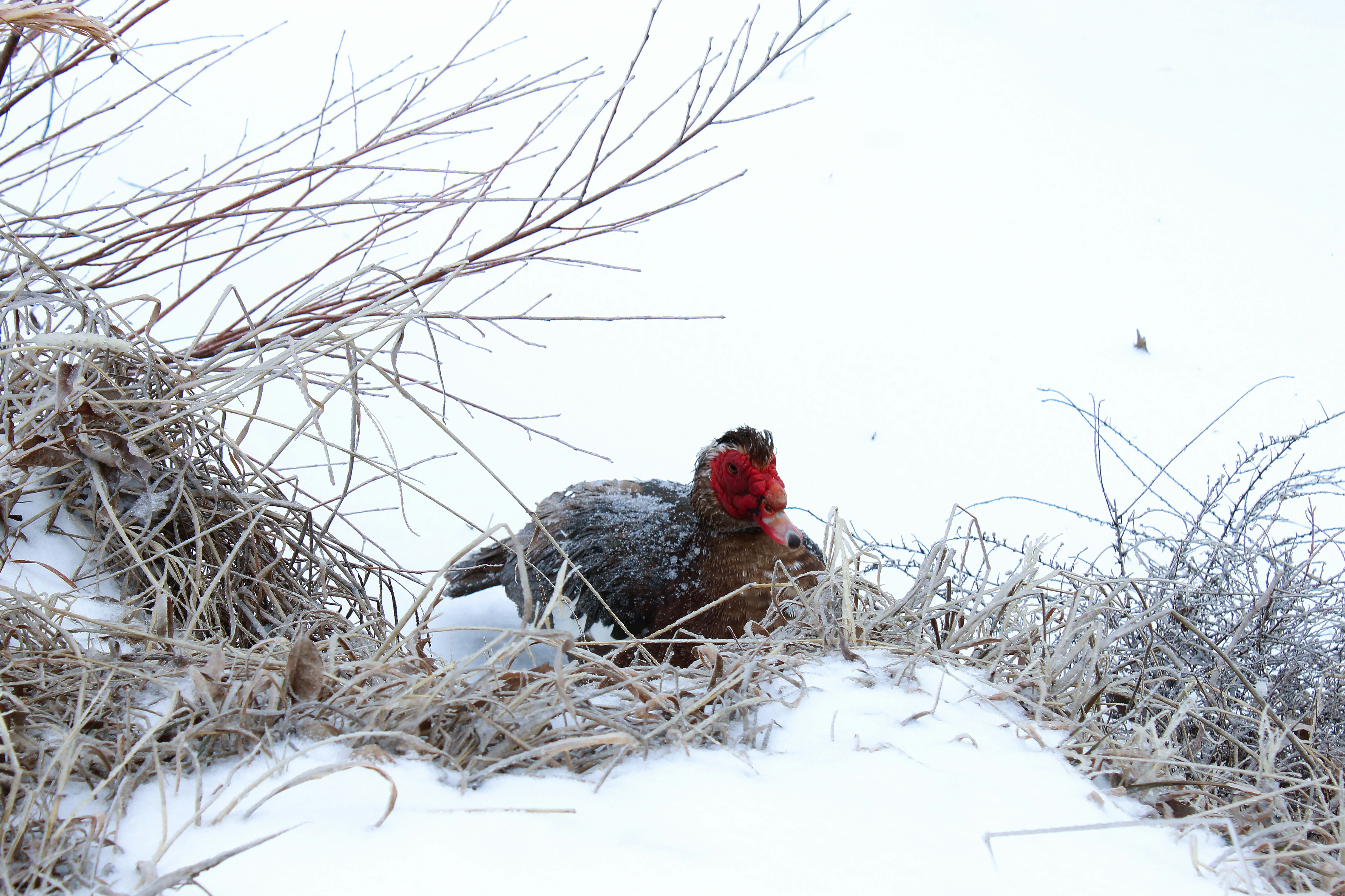 Photo by sidebysidestudios