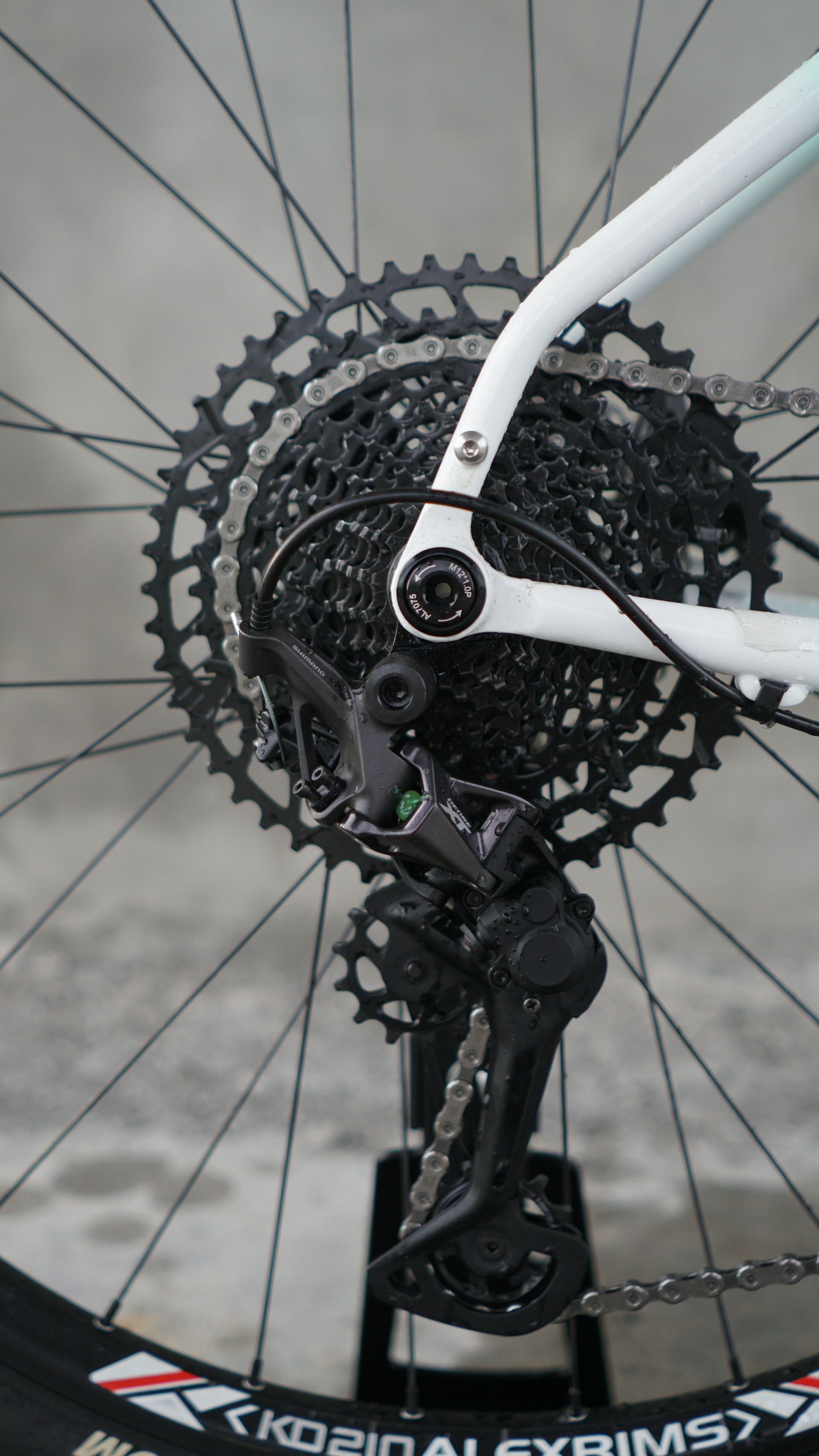 Close-up of a bicycle's rear derailleur and cassette.