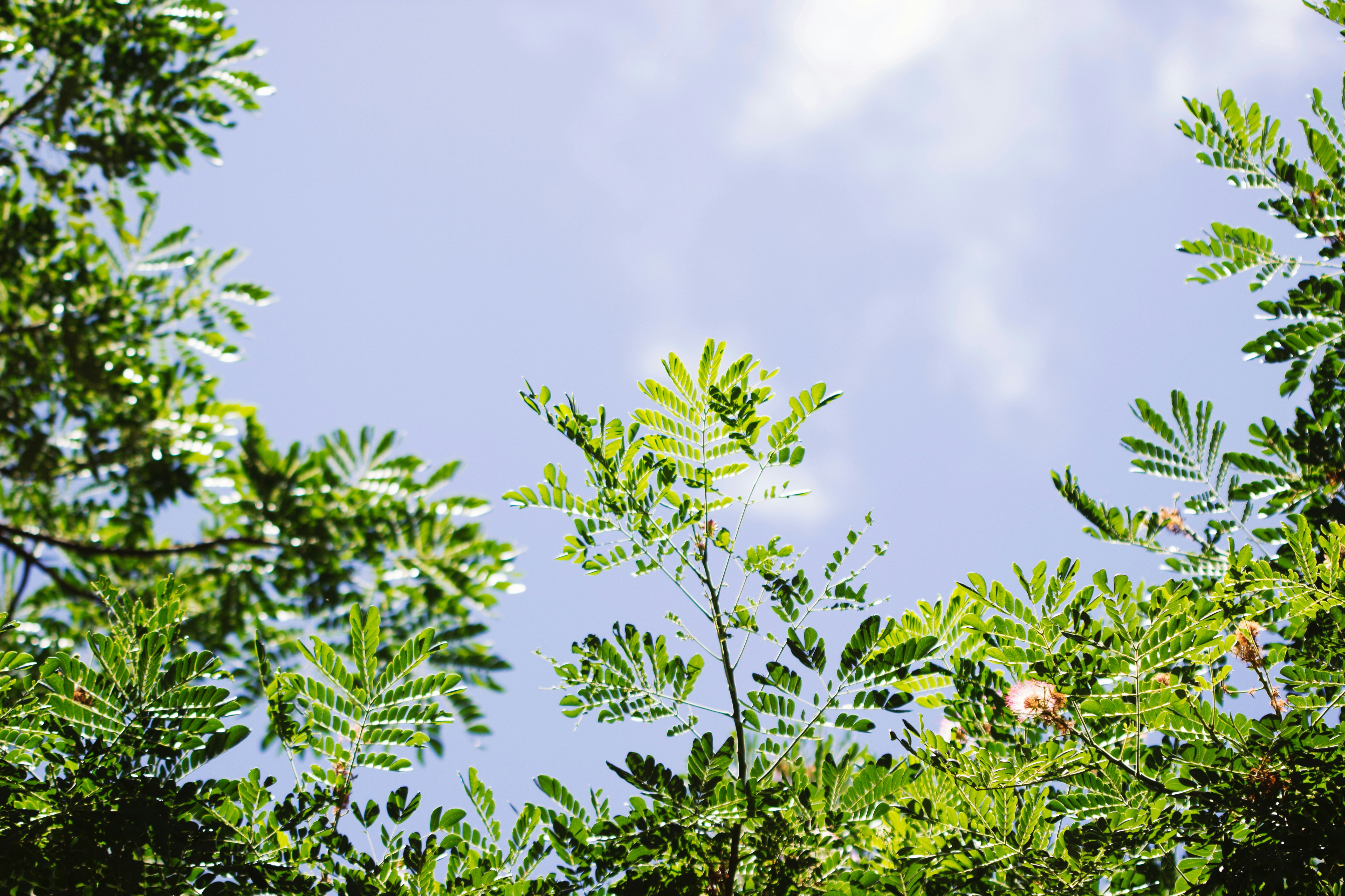 Photo by beyondxphotography