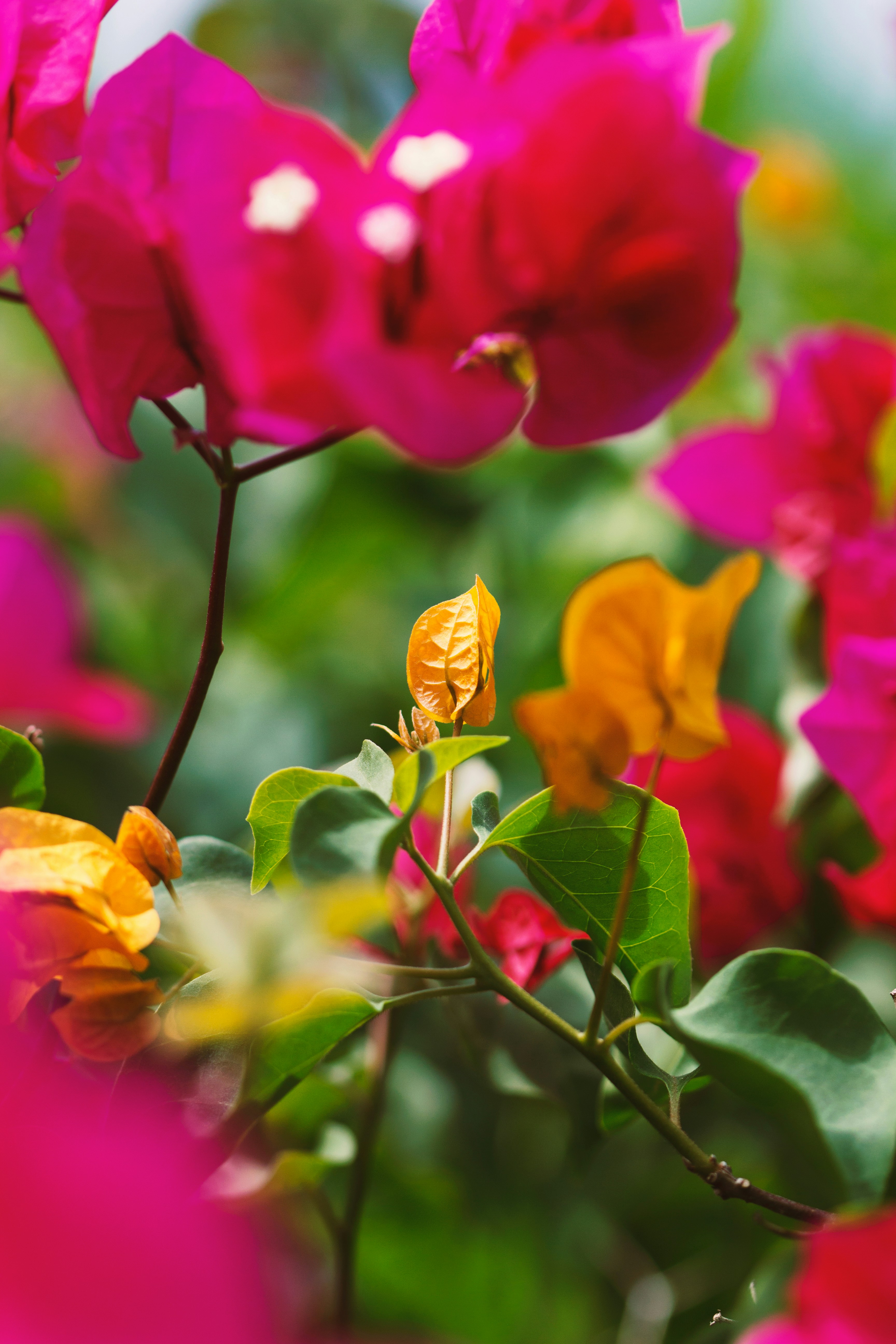 Photo by beyondxphotography