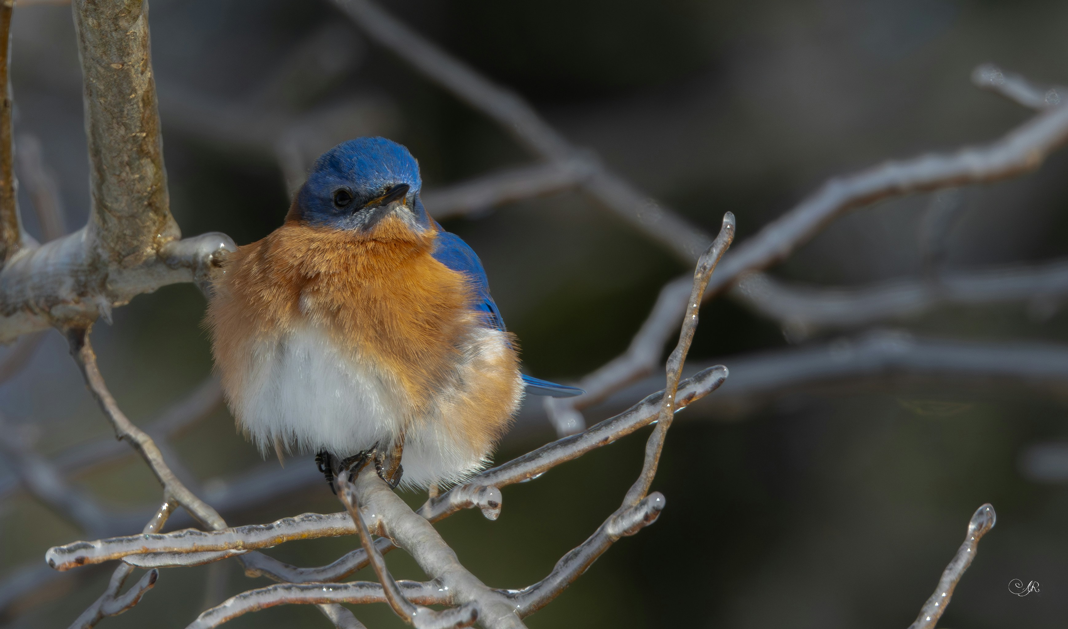 Photo by grimnir35mm