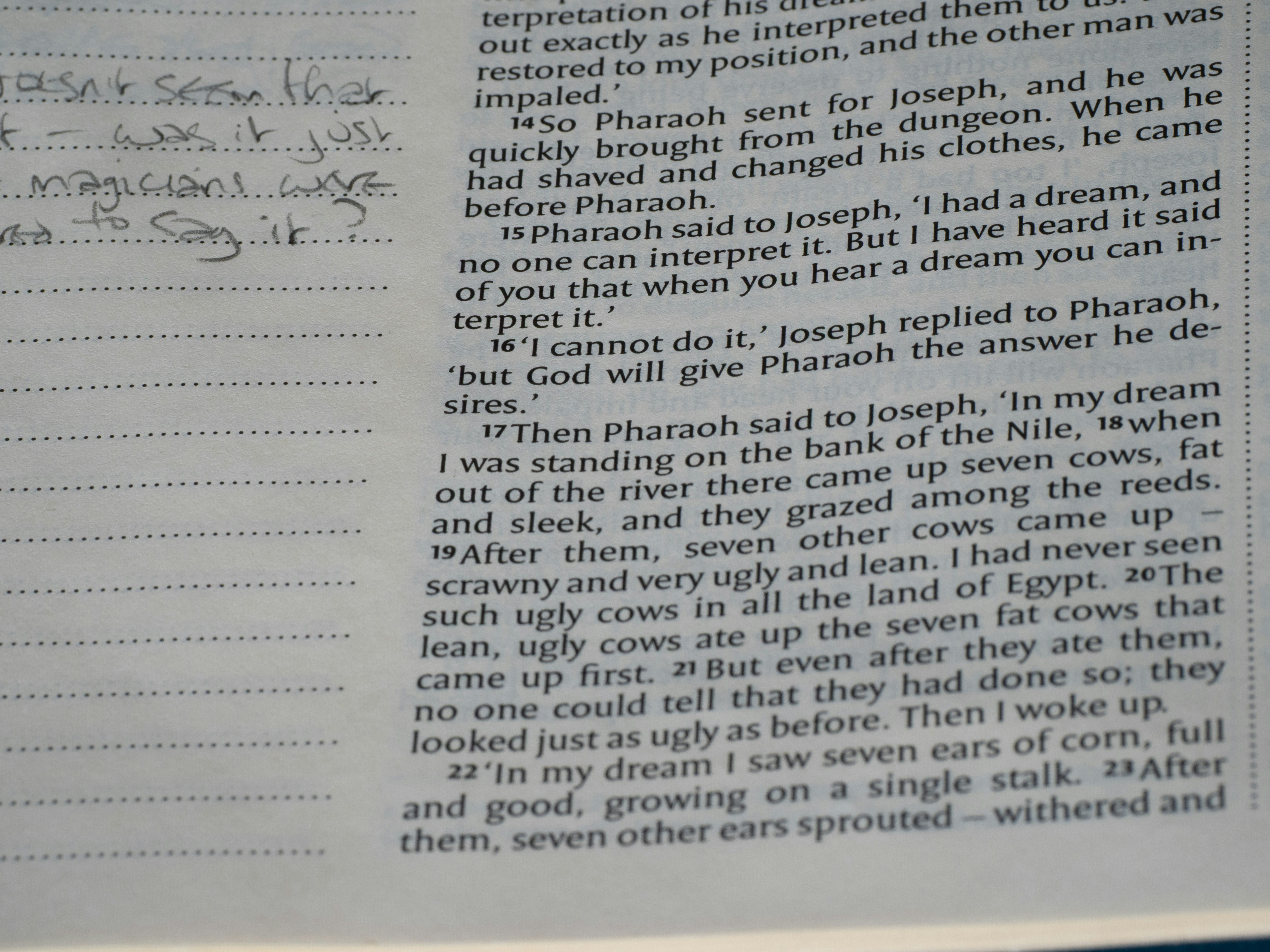 제주도 부동산 변호사