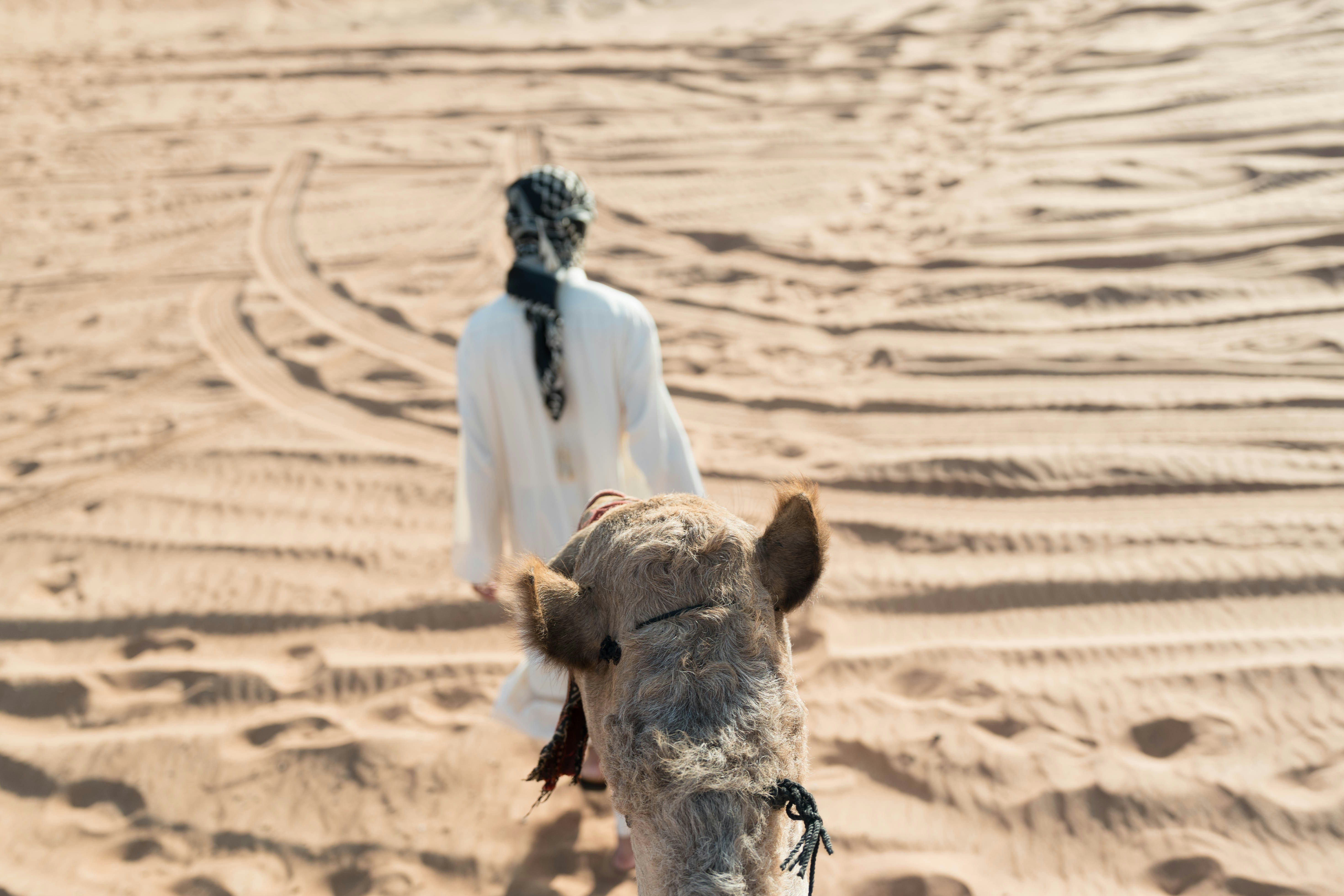 Person riding a camel through desert sand dunes