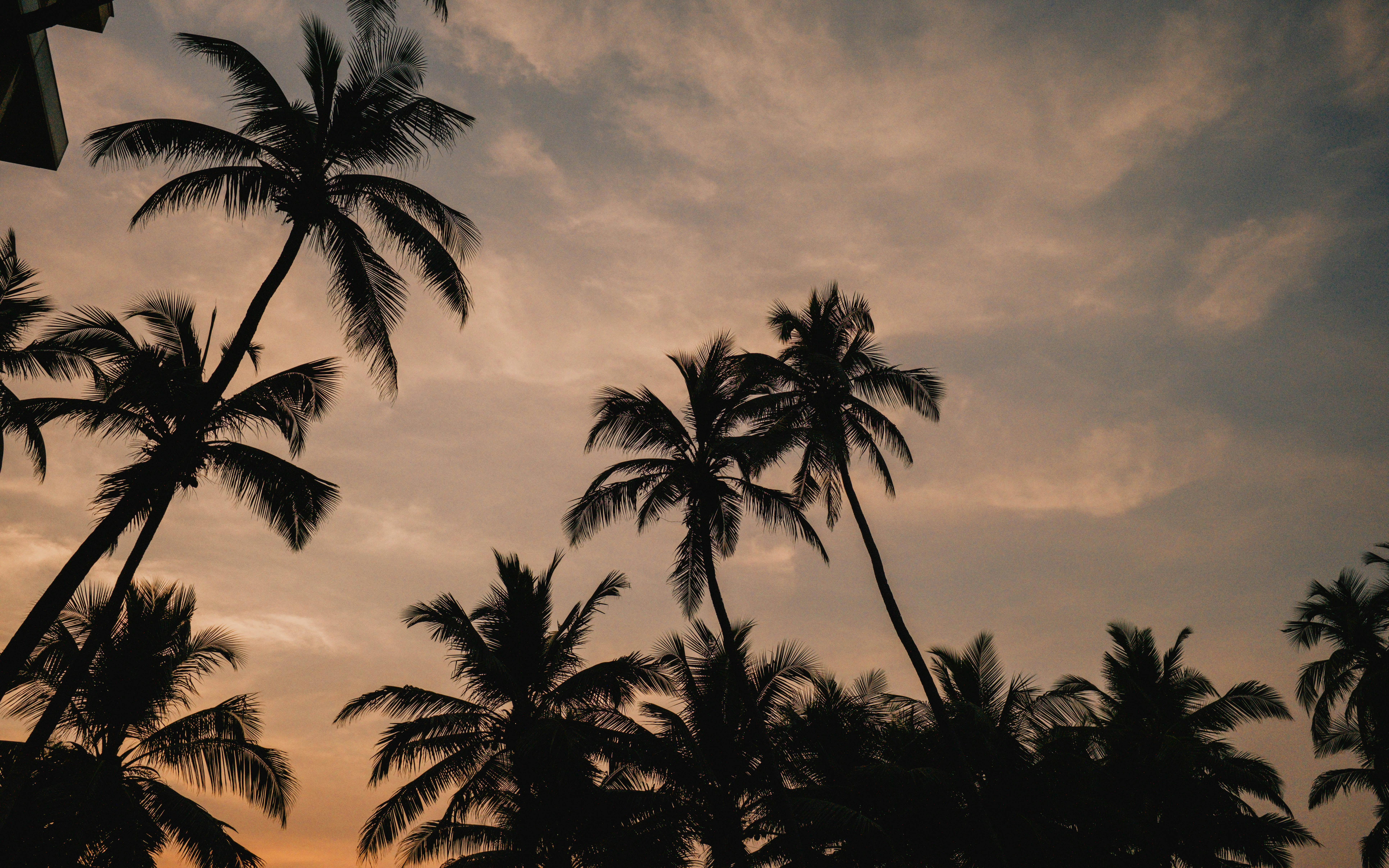 Photo by ishaanthephotoman